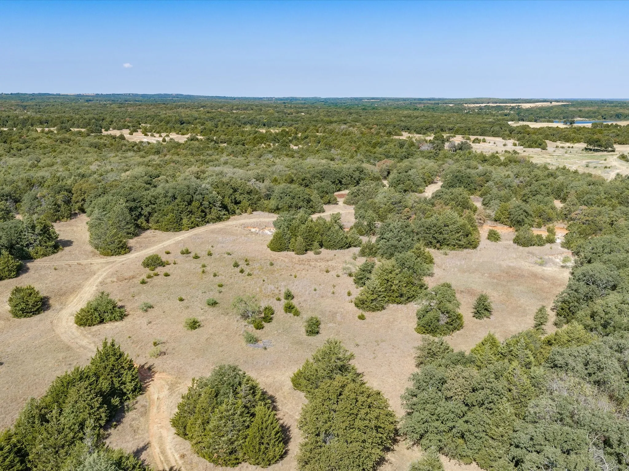 Unimproved Land For Sale in Wise County , TBD County Road 2560, Alvord, Texas 76225, 0, 0, Garage spaces, 0 Sqft, built in 0, mls#21392032, Real Estate Agent in Alvord, Homes For Sale in Wise county, Homes For Sale in Alvord, Realtor in Alvord Texas, Real Estate Brokerage Independent Realty Texas, Luminita Cordes Realtor