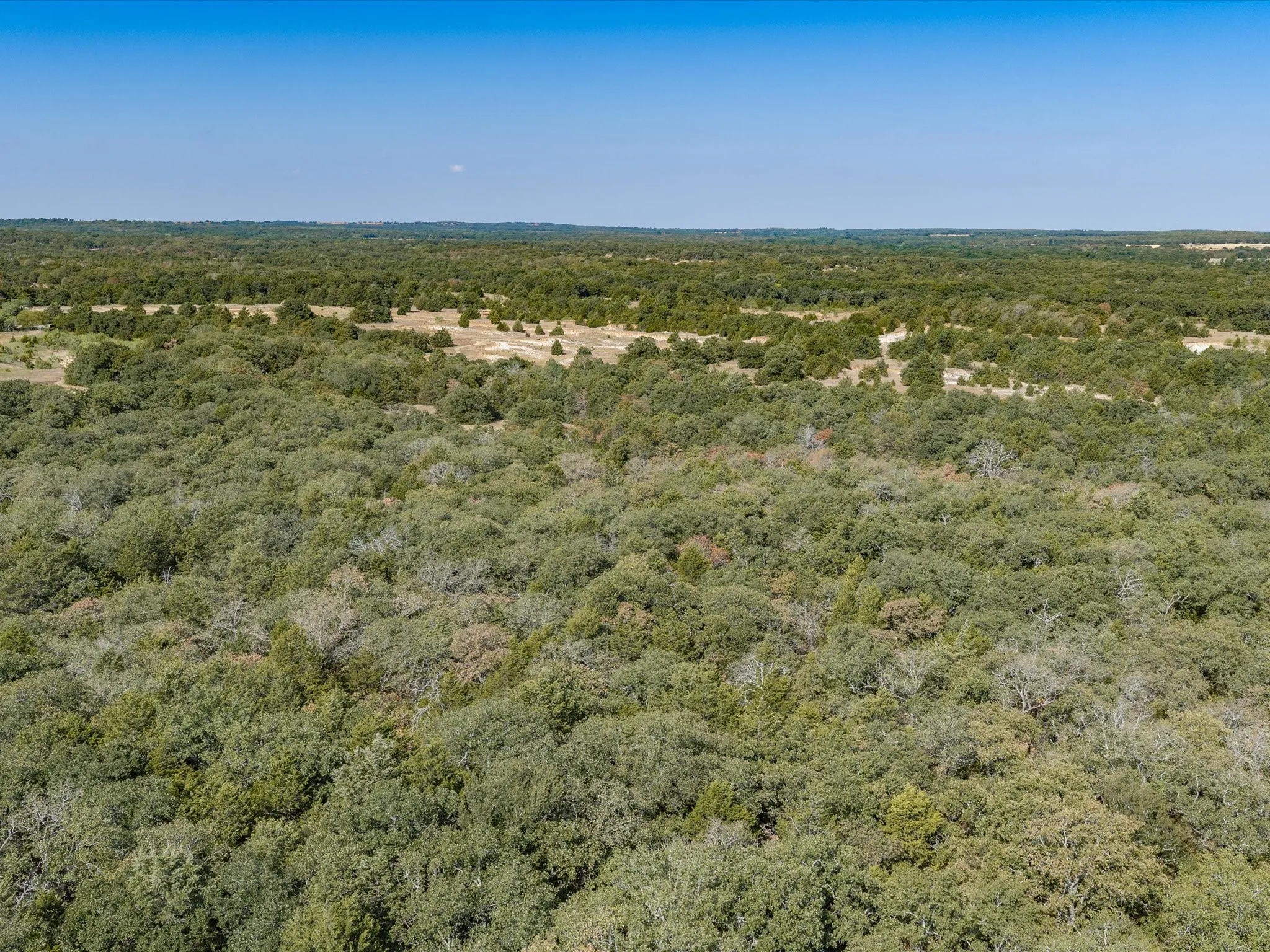 Unimproved Land For Sale in Wise County , TBD County Road 2560, Alvord, Texas 76225, 0, 0, Garage spaces, 0 Sqft, built in 0, mls#21392032, Real Estate Agent in Alvord, Homes For Sale in Wise county, Homes For Sale in Alvord, Realtor in Alvord Texas, Real Estate Brokerage Independent Realty Texas, Luminita Cordes Realtor
