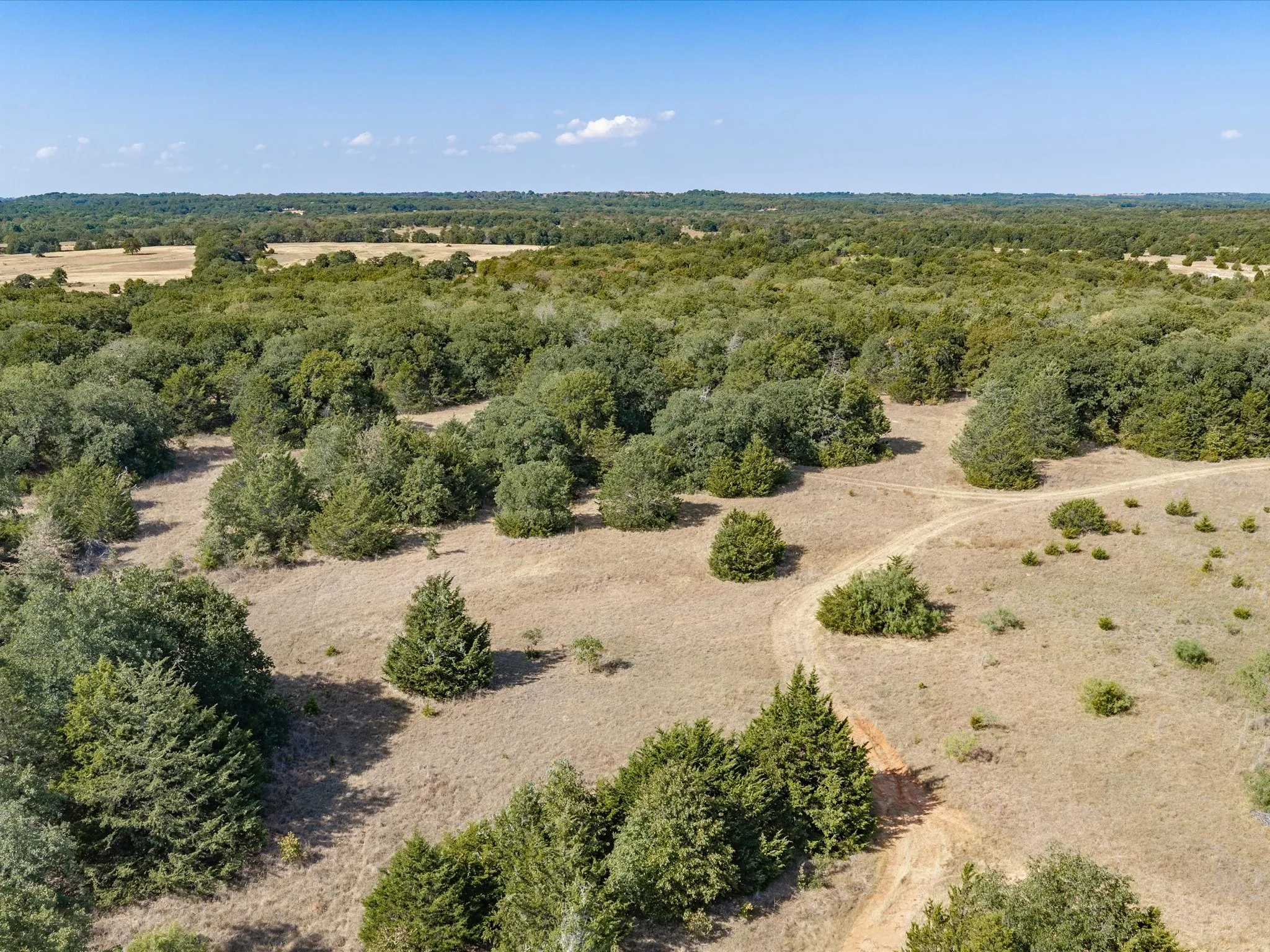 Unimproved Land For Sale in Wise County , TBD County Road 2560, Alvord, Texas 76225, 0, 0, Garage spaces, 0 Sqft, built in 0, mls#21392032, Real Estate Agent in Alvord, Homes For Sale in Wise county, Homes For Sale in Alvord, Realtor in Alvord Texas, Real Estate Brokerage Independent Realty Texas, Luminita Cordes Realtor