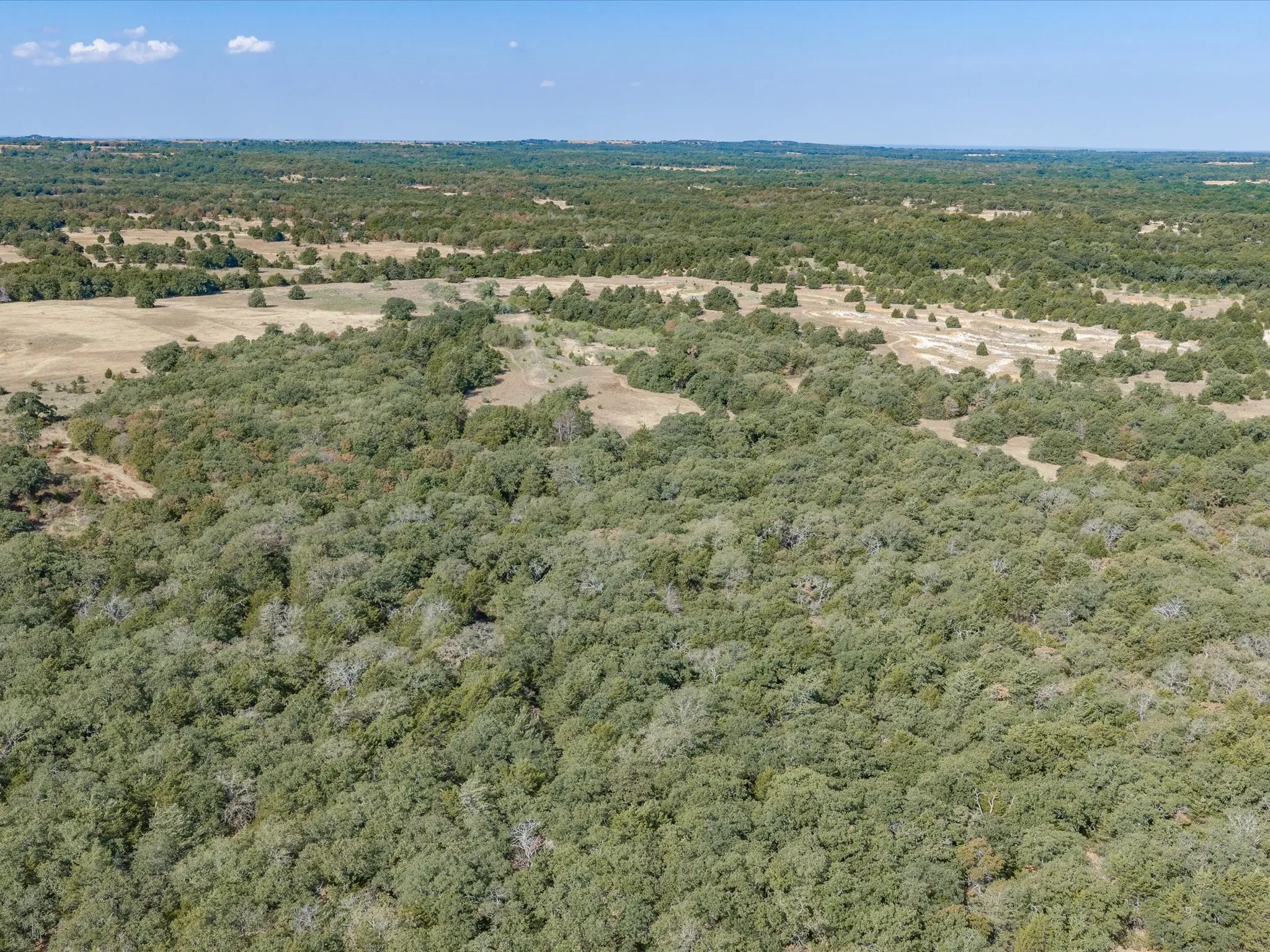 Unimproved Land For Sale in Wise County , TBD County Road 2560, Alvord, Texas 76225, 0, 0, Garage spaces, 0 Sqft, built in 0, mls#21392032, Real Estate Agent in Alvord, Homes For Sale in Wise county, Homes For Sale in Alvord, Realtor in Alvord Texas, Real Estate Brokerage Independent Realty Texas, Luminita Cordes Realtor
