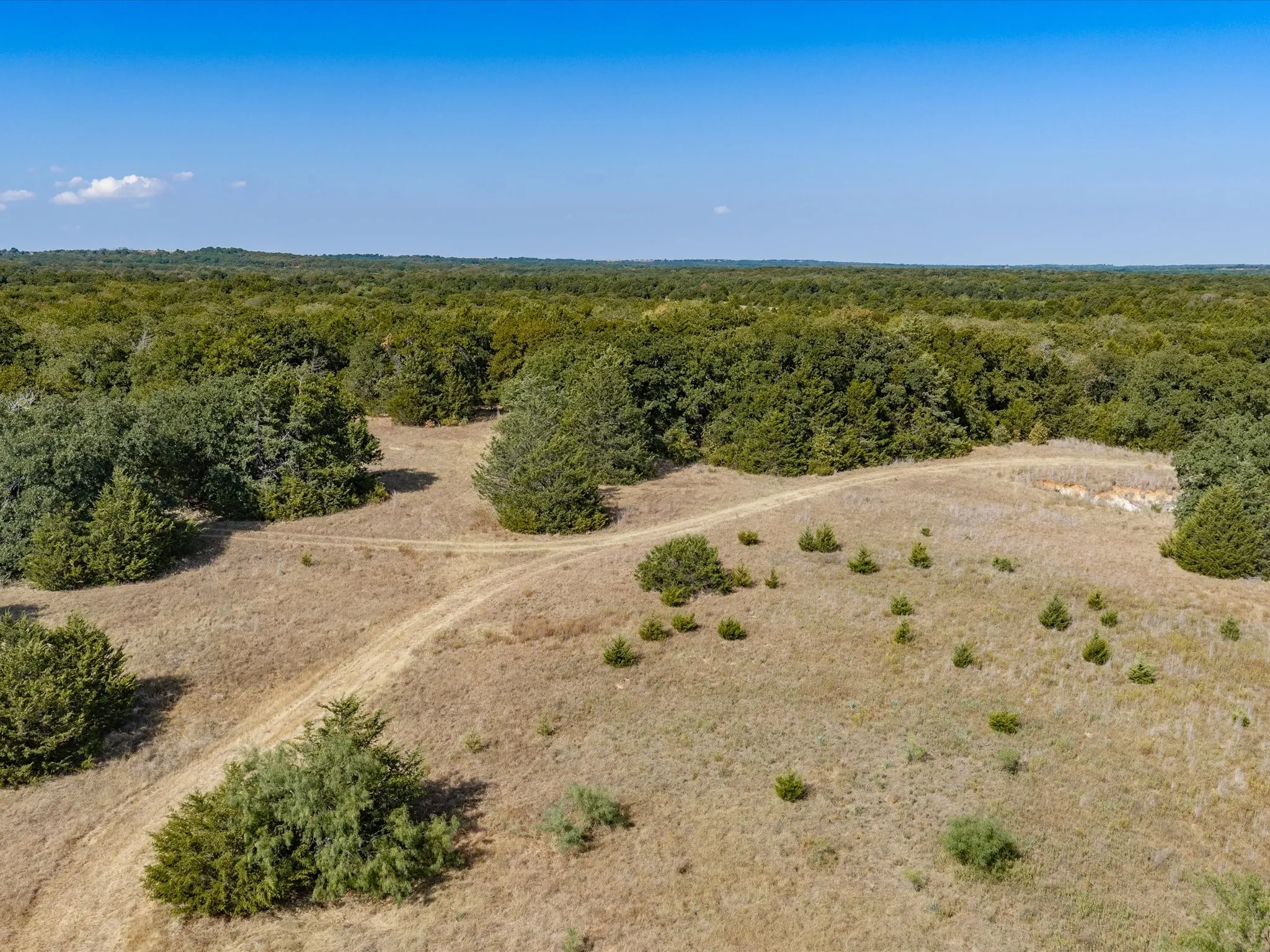 Unimproved Land For Sale in Wise County , TBD County Road 2560, Alvord, Texas 76225, 0, 0, Garage spaces, 0 Sqft, built in 0, mls#21392032, Real Estate Agent in Alvord, Homes For Sale in Wise county, Homes For Sale in Alvord, Realtor in Alvord Texas, Real Estate Brokerage Independent Realty Texas, Luminita Cordes Realtor