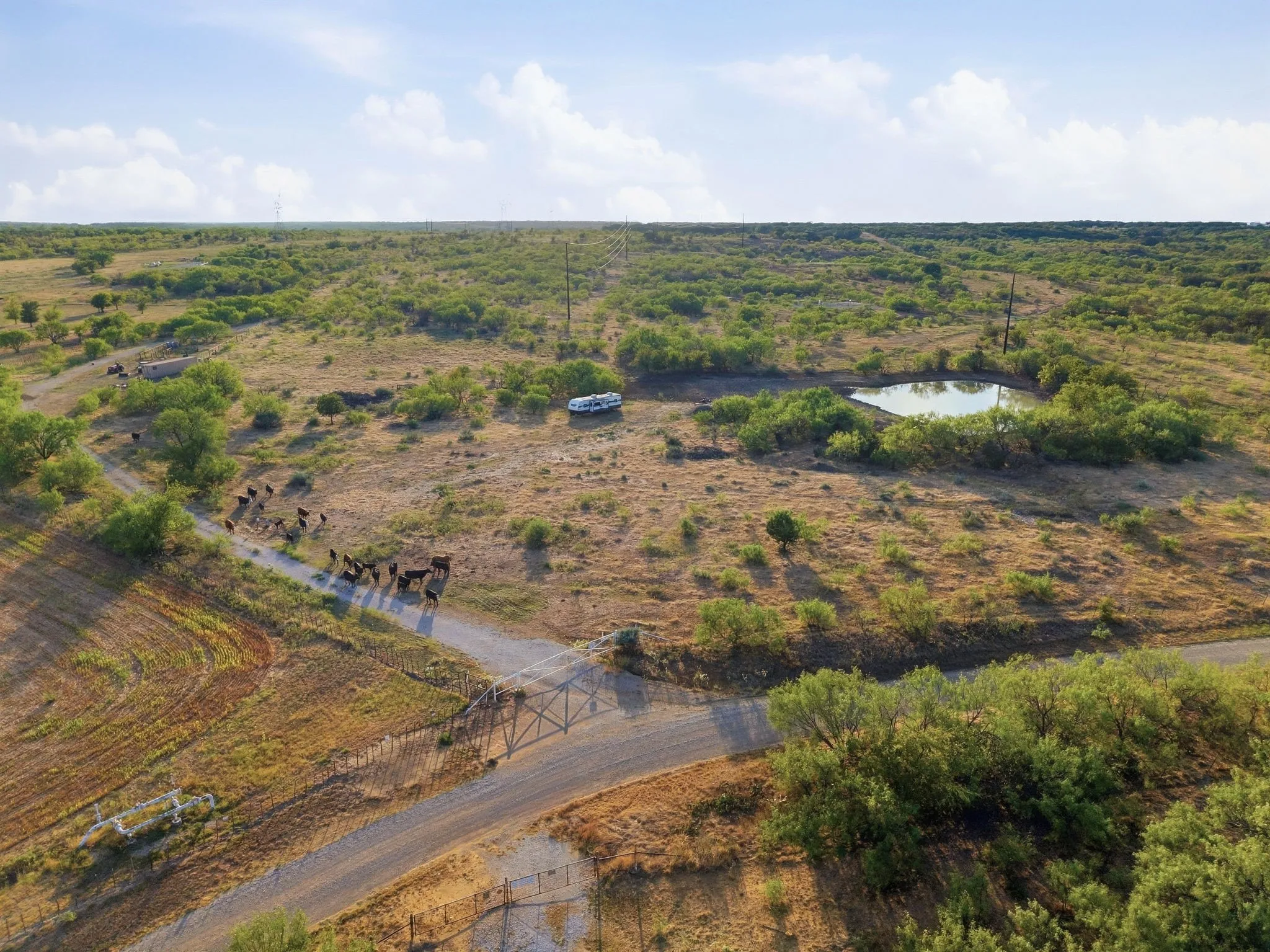 Ranch For Sale in Jack County , TBD Story Road, Perrin, Texas 76458, 0, 0, Garage spaces, 0 Sqft, built in 0, mls#21392329, Real Estate Agent in Perrin, Homes For Sale in Jack county, Homes For Sale in Perrin, Realtor in Perrin Texas, Real Estate Brokerage Independent Realty Texas, Luminita Cordes Realtor