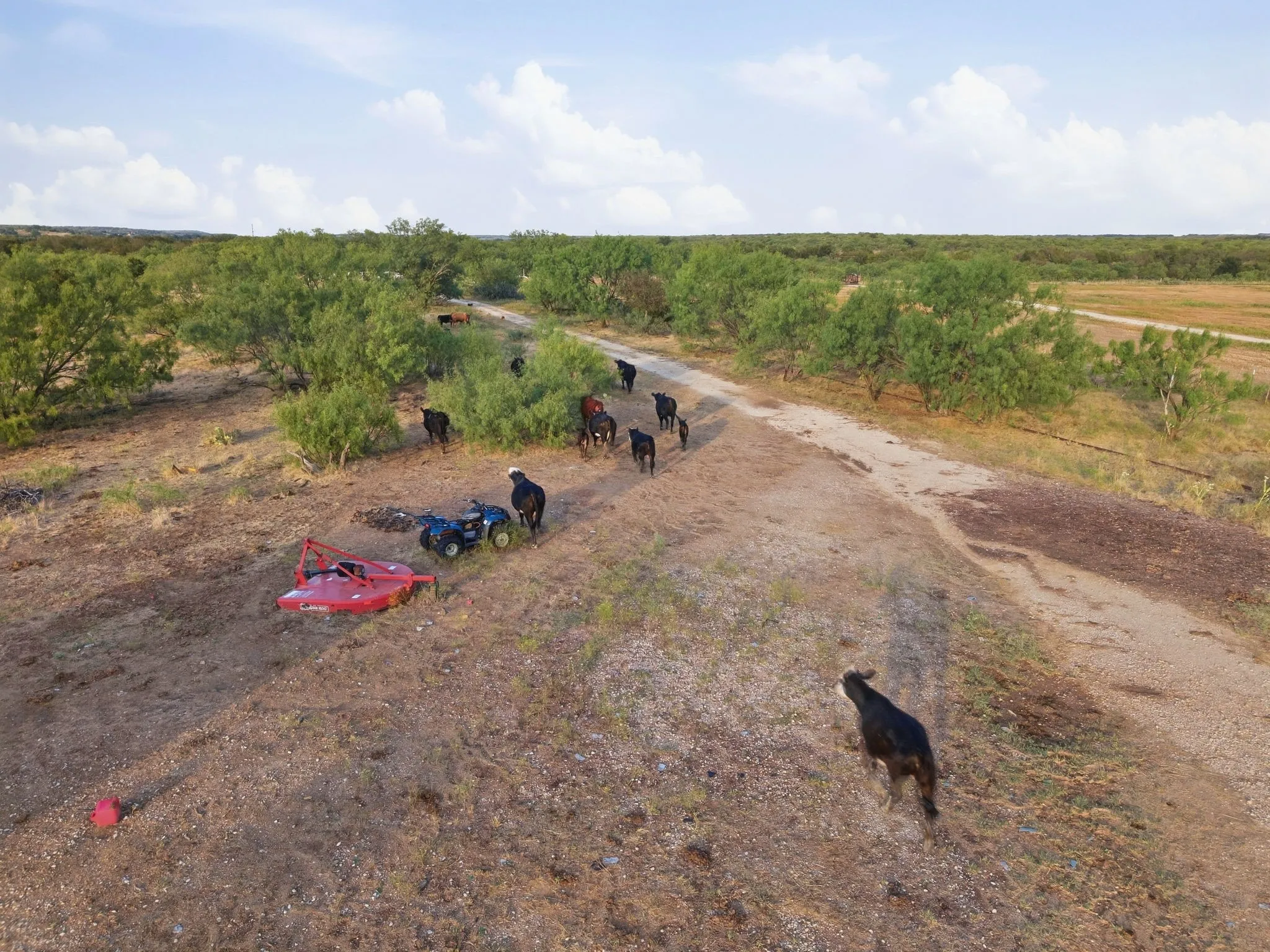Ranch For Sale in Jack County , TBD Story Road, Perrin, Texas 76458, 0, 0, Garage spaces, 0 Sqft, built in 0, mls#21392329, Real Estate Agent in Perrin, Homes For Sale in Jack county, Homes For Sale in Perrin, Realtor in Perrin Texas, Real Estate Brokerage Independent Realty Texas, Luminita Cordes Realtor