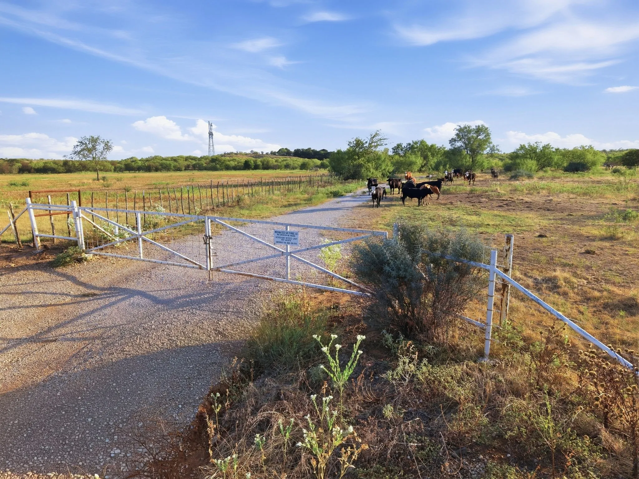Ranch For Sale in Jack County , TBD Story Road, Perrin, Texas 76458, 0, 0, Garage spaces, 0 Sqft, built in 0, mls#21392329, Real Estate Agent in Perrin, Homes For Sale in Jack county, Homes For Sale in Perrin, Realtor in Perrin Texas, Real Estate Brokerage Independent Realty Texas, Luminita Cordes Realtor