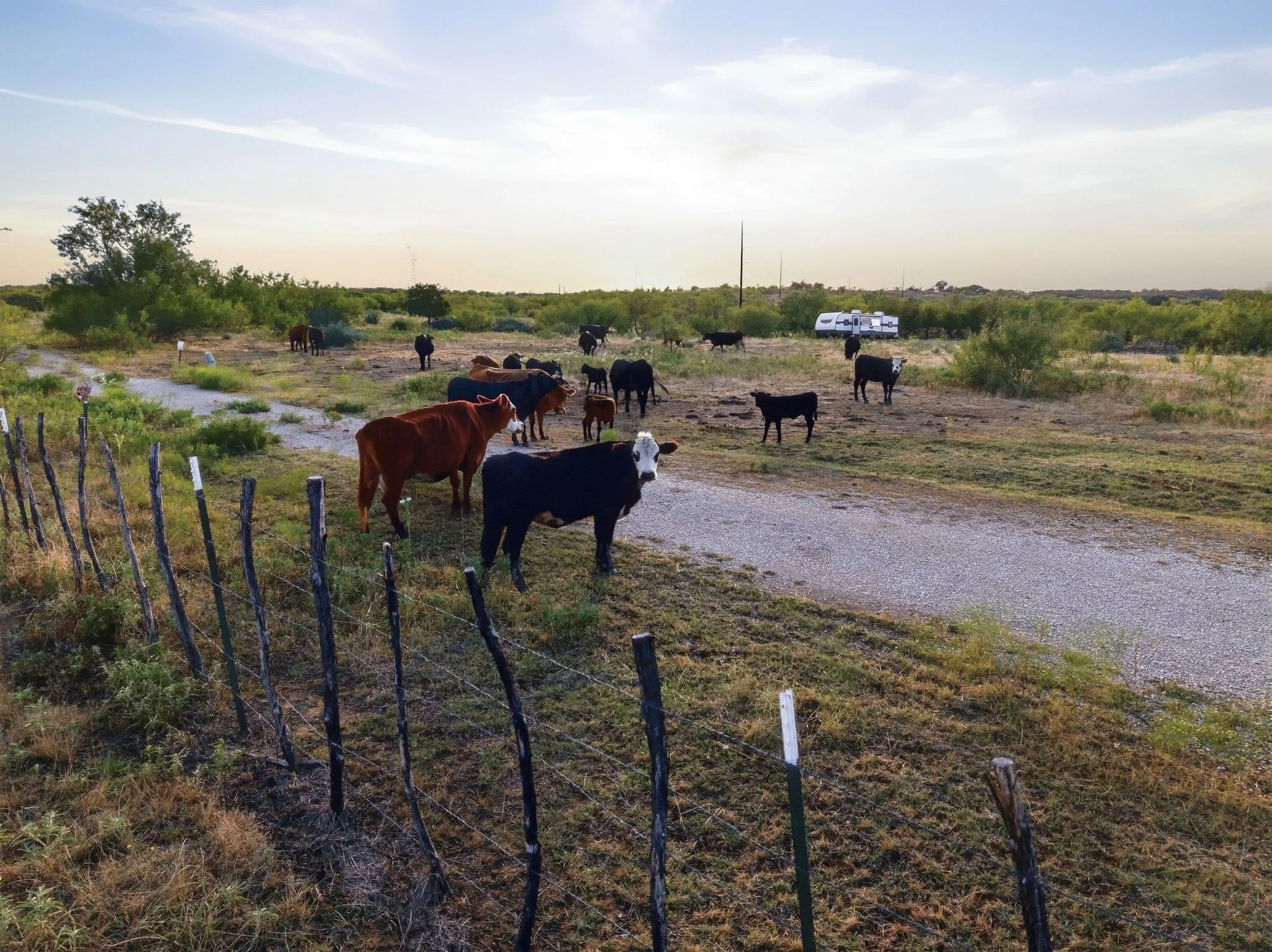 Ranch For Sale in Jack County , TBD Story Road, Perrin, Texas 76458, 0, 0, Garage spaces, 0 Sqft, built in 0, mls#21392329, Real Estate Agent in Perrin, Homes For Sale in Jack county, Homes For Sale in Perrin, Realtor in Perrin Texas, Real Estate Brokerage Independent Realty Texas, Luminita Cordes Realtor
