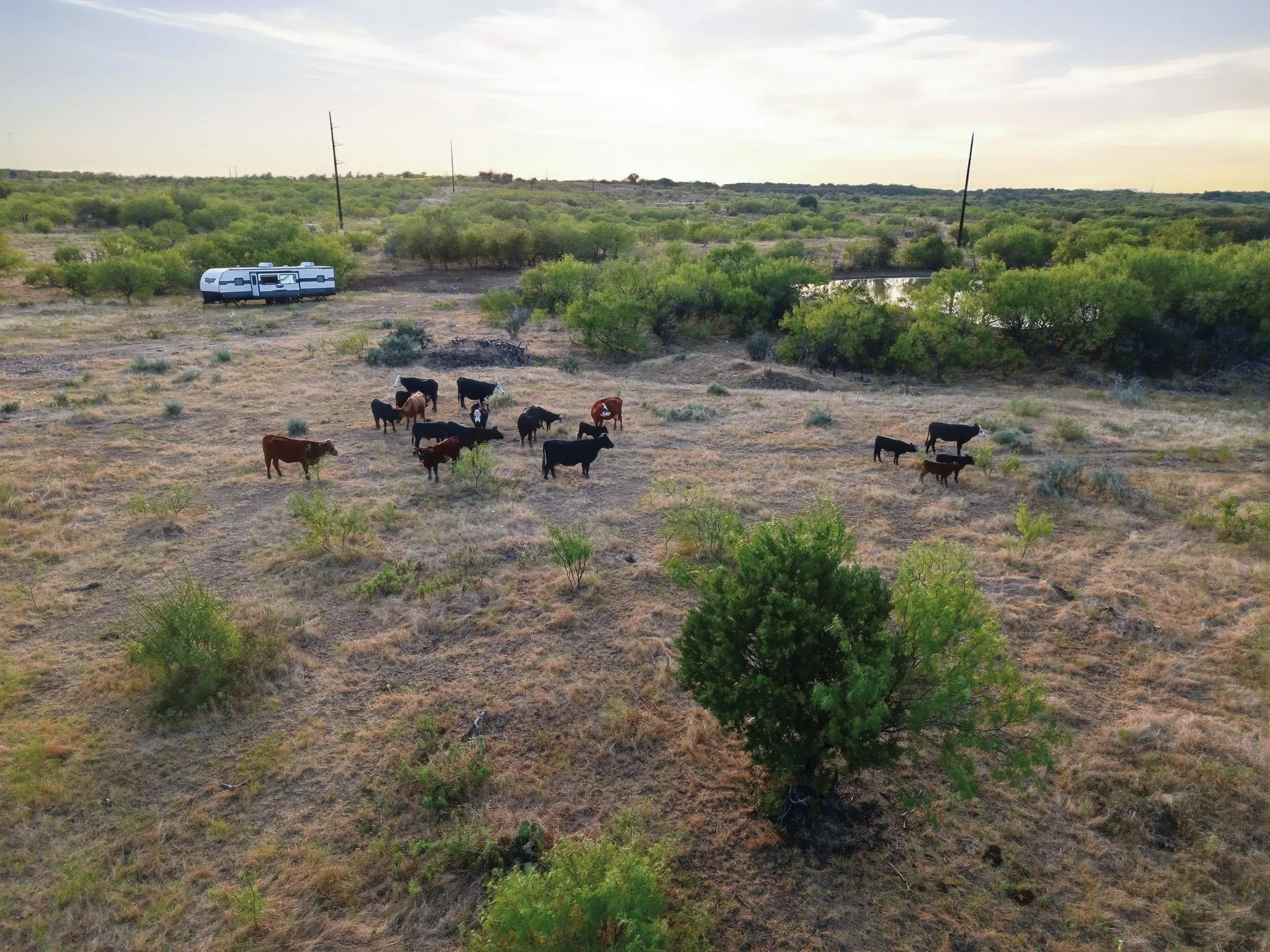 Ranch For Sale in Jack County , TBD Story Road, Perrin, Texas 76458, 0, 0, Garage spaces, 0 Sqft, built in 0, mls#21392329, Real Estate Agent in Perrin, Homes For Sale in Jack county, Homes For Sale in Perrin, Realtor in Perrin Texas, Real Estate Brokerage Independent Realty Texas, Luminita Cordes Realtor