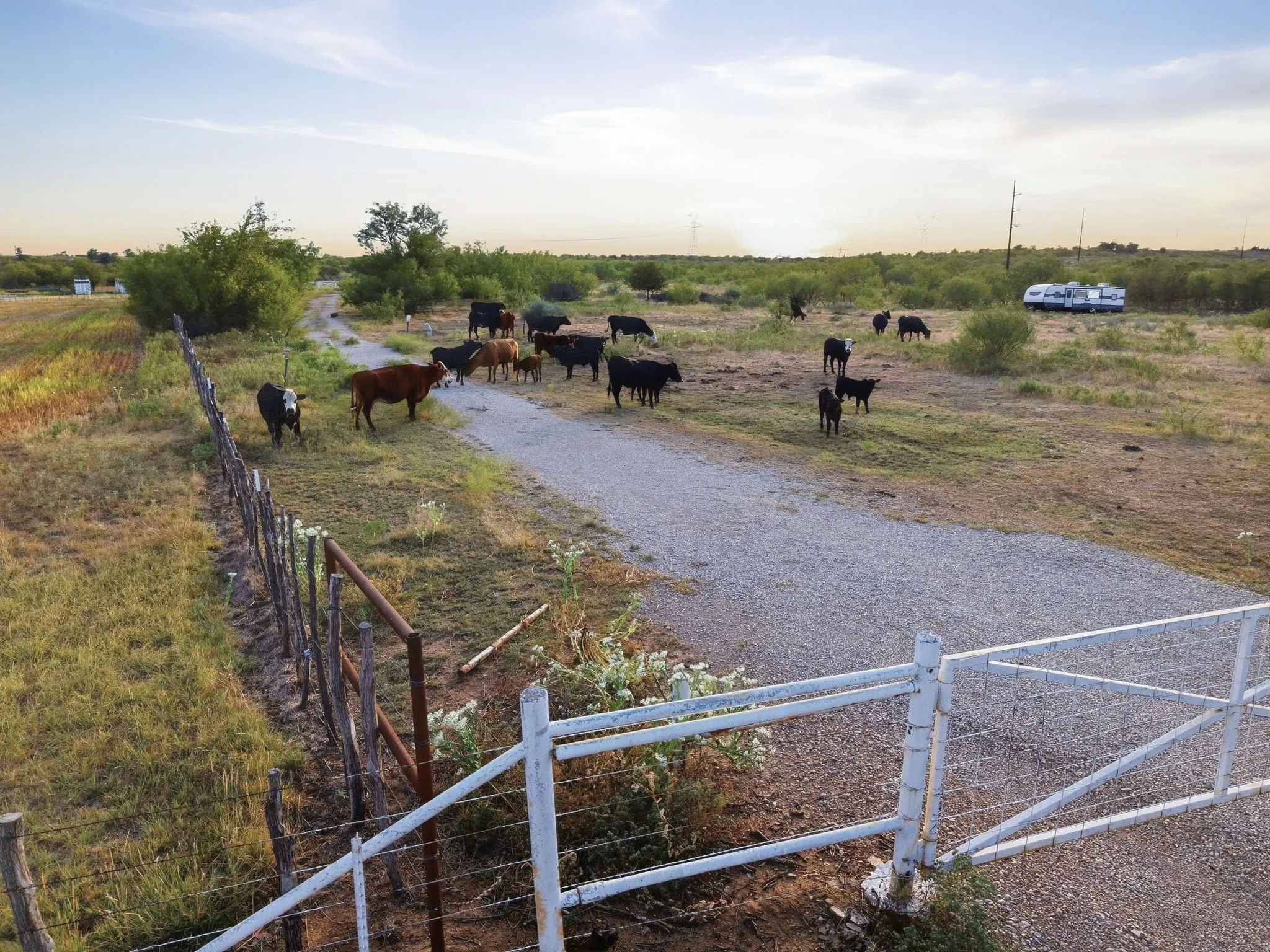 Ranch For Sale in Jack County , TBD Story Road, Perrin, Texas 76458, 0, 0, Garage spaces, 0 Sqft, built in 0, mls#21392329, Real Estate Agent in Perrin, Homes For Sale in Jack county, Homes For Sale in Perrin, Realtor in Perrin Texas, Real Estate Brokerage Independent Realty Texas, Luminita Cordes Realtor