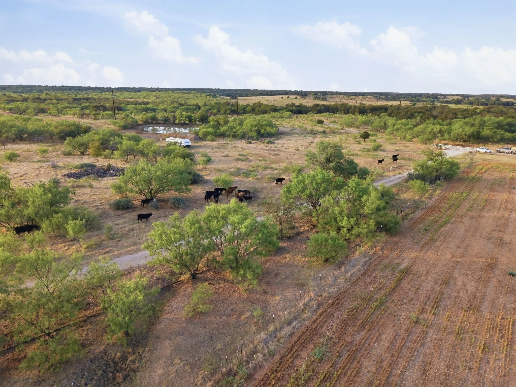 Ranch For Sale in Jack County , TBD Story Road, Perrin, Texas 76458, 0, 0, Garage spaces, 0 Sqft, built in 0, mls#21392329, Real Estate Agent in Perrin, Homes For Sale in Jack county, Homes For Sale in Perrin, Realtor in Perrin Texas, Real Estate Brokerage Independent Realty Texas, Luminita Cordes Realtor