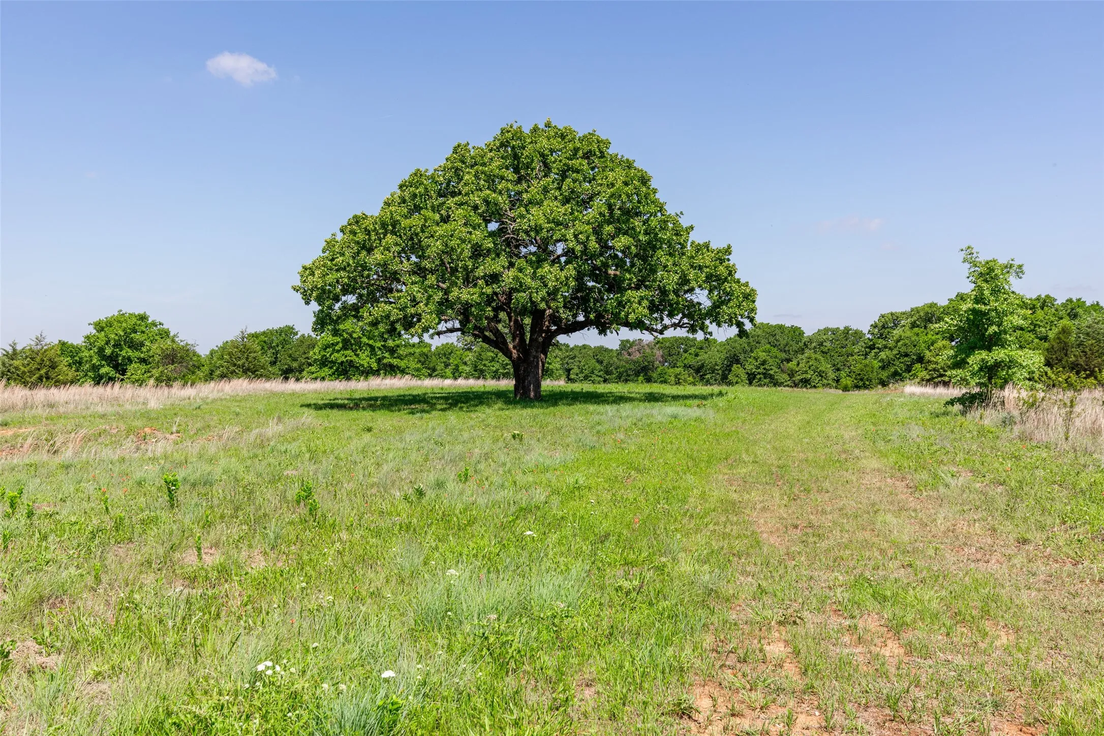 Single Family Residence For Sale in Montague County , 2043 Huddleston Road, Sunset, Texas 76270, 4 Bedroom, 2 Bathroom, 2 Garage spaces, 2,294 Sqft, built in 1990, mls#21394744, Real Estate Agent in Sunset, Homes For Sale in Montague county, Homes For Sale in Sunset, Realtor in Sunset Texas, Real Estate Brokerage Independent Realty Texas, Luminita Cordes Realtor