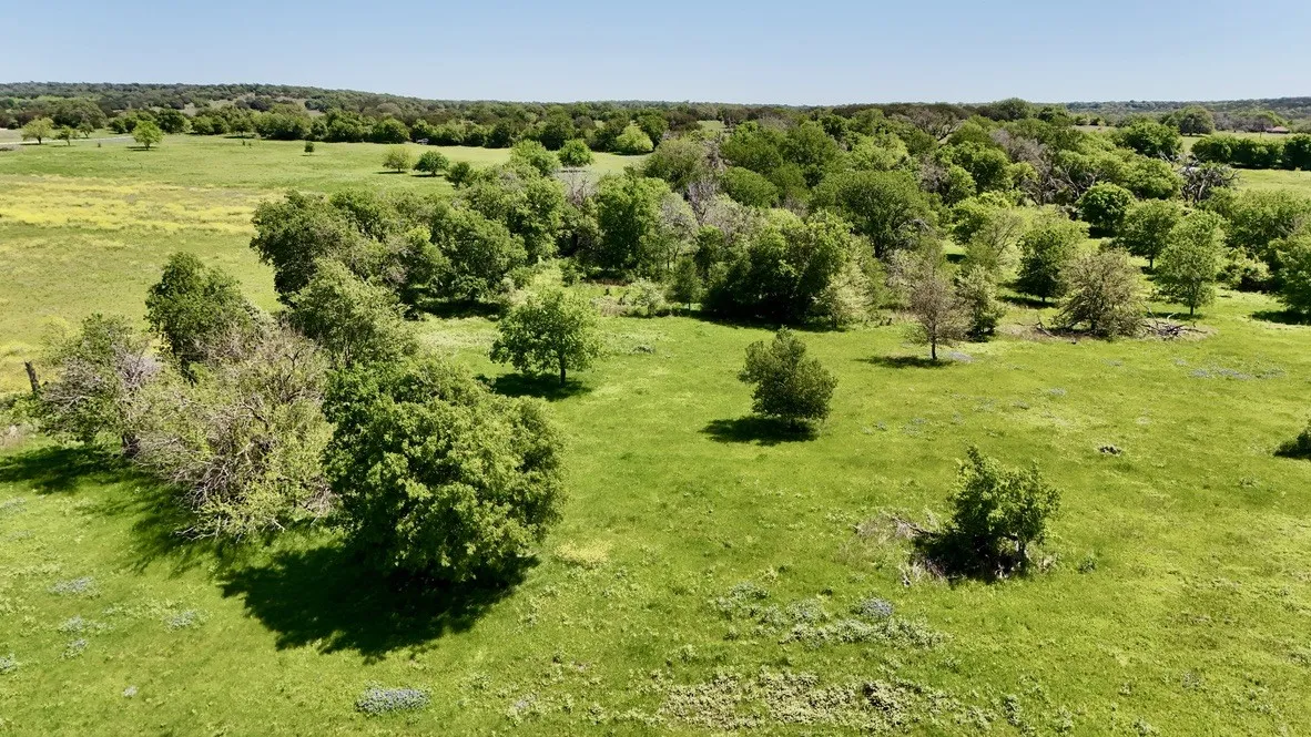 Unimproved Land For Sale in Bosque County , 2031 County Road 3310, Valley Mills, Texas 76689, 0, 0, Garage spaces, 0 Sqft, built in 0, mls#21394764, Real Estate Agent in Valley Mills, Homes For Sale in Bosque county, Homes For Sale in Valley Mills, Realtor in Valley Mills Texas, Real Estate Brokerage Independent Realty Texas, Luminita Cordes Realtor