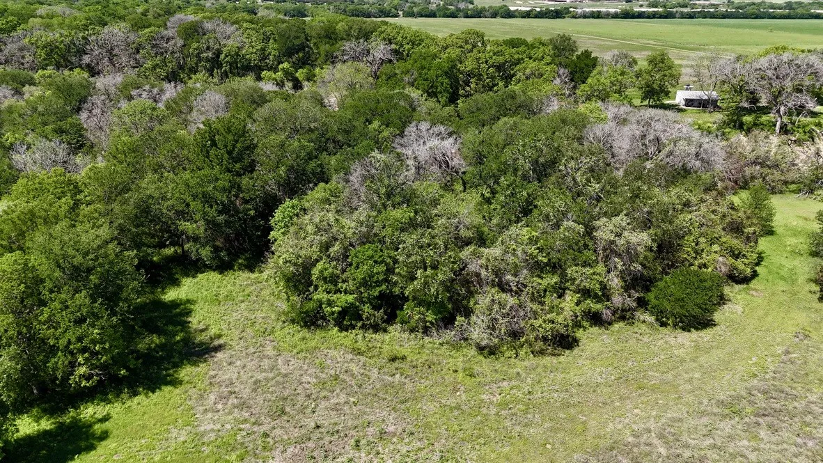 Unimproved Land For Sale in Bosque County , 2031 County Road 3310, Valley Mills, Texas 76689, 0, 0, Garage spaces, 0 Sqft, built in 0, mls#21394764, Real Estate Agent in Valley Mills, Homes For Sale in Bosque county, Homes For Sale in Valley Mills, Realtor in Valley Mills Texas, Real Estate Brokerage Independent Realty Texas, Luminita Cordes Realtor
