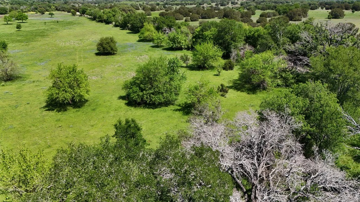 Unimproved Land For Sale in Bosque County , 2031 County Road 3310, Valley Mills, Texas 76689, 0, 0, Garage spaces, 0 Sqft, built in 0, mls#21394764, Real Estate Agent in Valley Mills, Homes For Sale in Bosque county, Homes For Sale in Valley Mills, Realtor in Valley Mills Texas, Real Estate Brokerage Independent Realty Texas, Luminita Cordes Realtor
