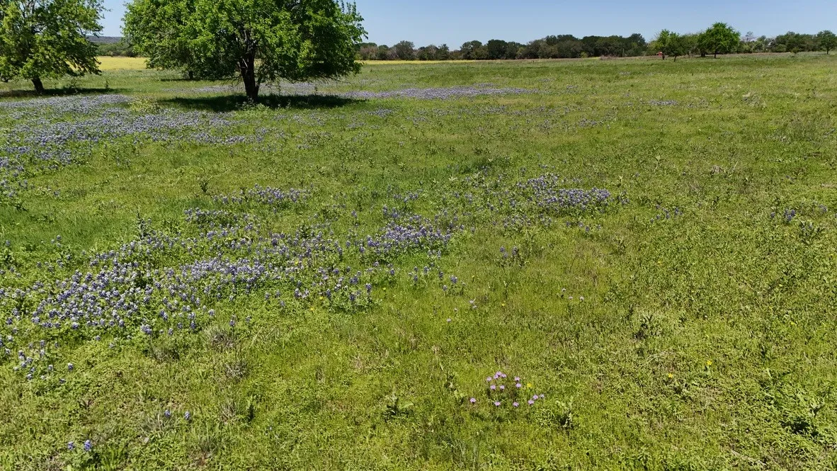 Unimproved Land For Sale in Bosque County , 2031 County Road 3310, Valley Mills, Texas 76689, 0, 0, Garage spaces, 0 Sqft, built in 0, mls#21394764, Real Estate Agent in Valley Mills, Homes For Sale in Bosque county, Homes For Sale in Valley Mills, Realtor in Valley Mills Texas, Real Estate Brokerage Independent Realty Texas, Luminita Cordes Realtor