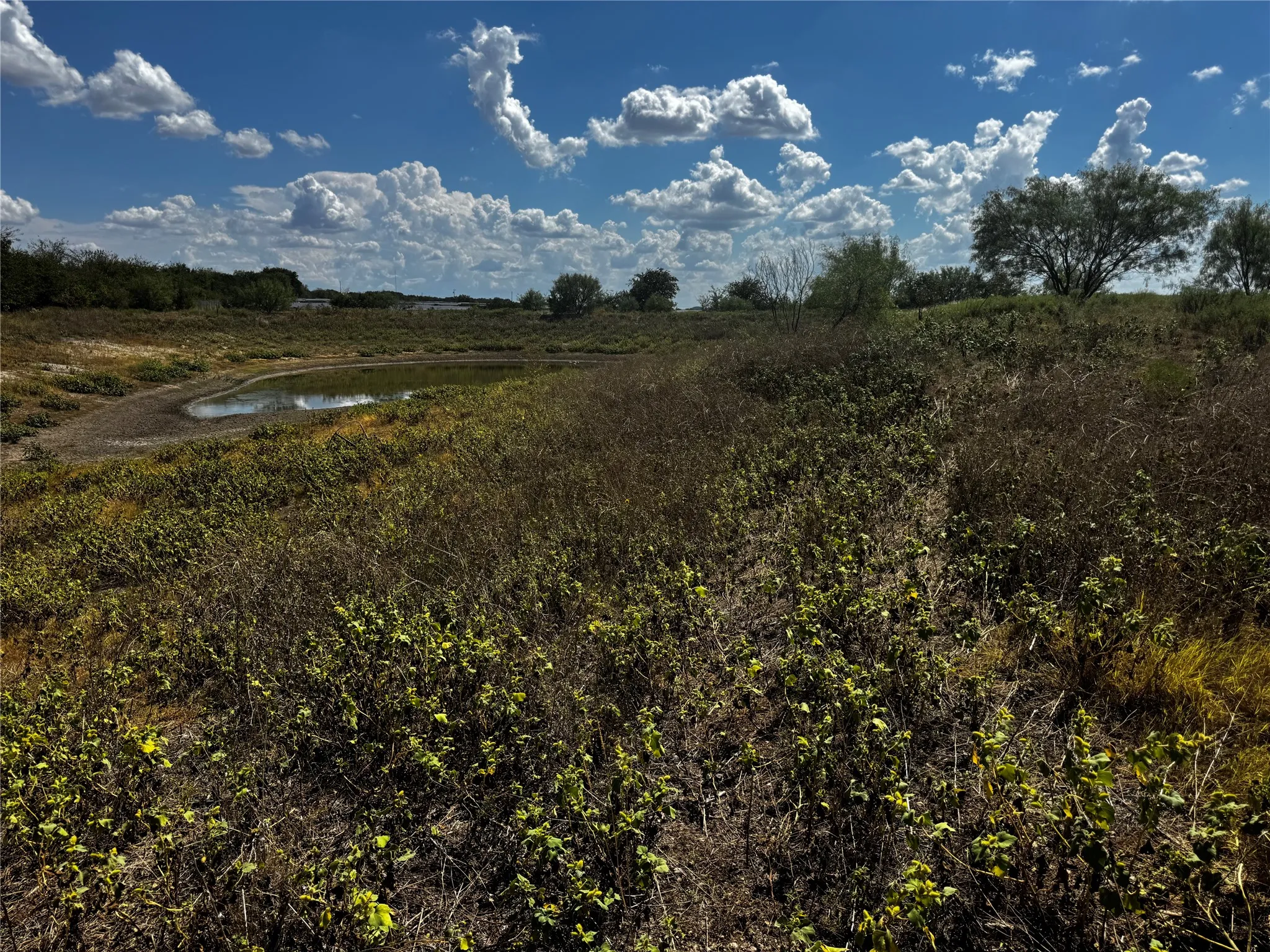 Unimproved Land For Sale in Bosque County , 108 Highway 174, Meridian, Texas 76665, 0, 0, Garage spaces, 0 Sqft, built in 0, mls#21391975, Real Estate Agent in Meridian, Homes For Sale in Bosque county, Homes For Sale in Meridian, Realtor in Meridian Texas, Real Estate Brokerage Independent Realty Texas, Luminita Cordes Realtor