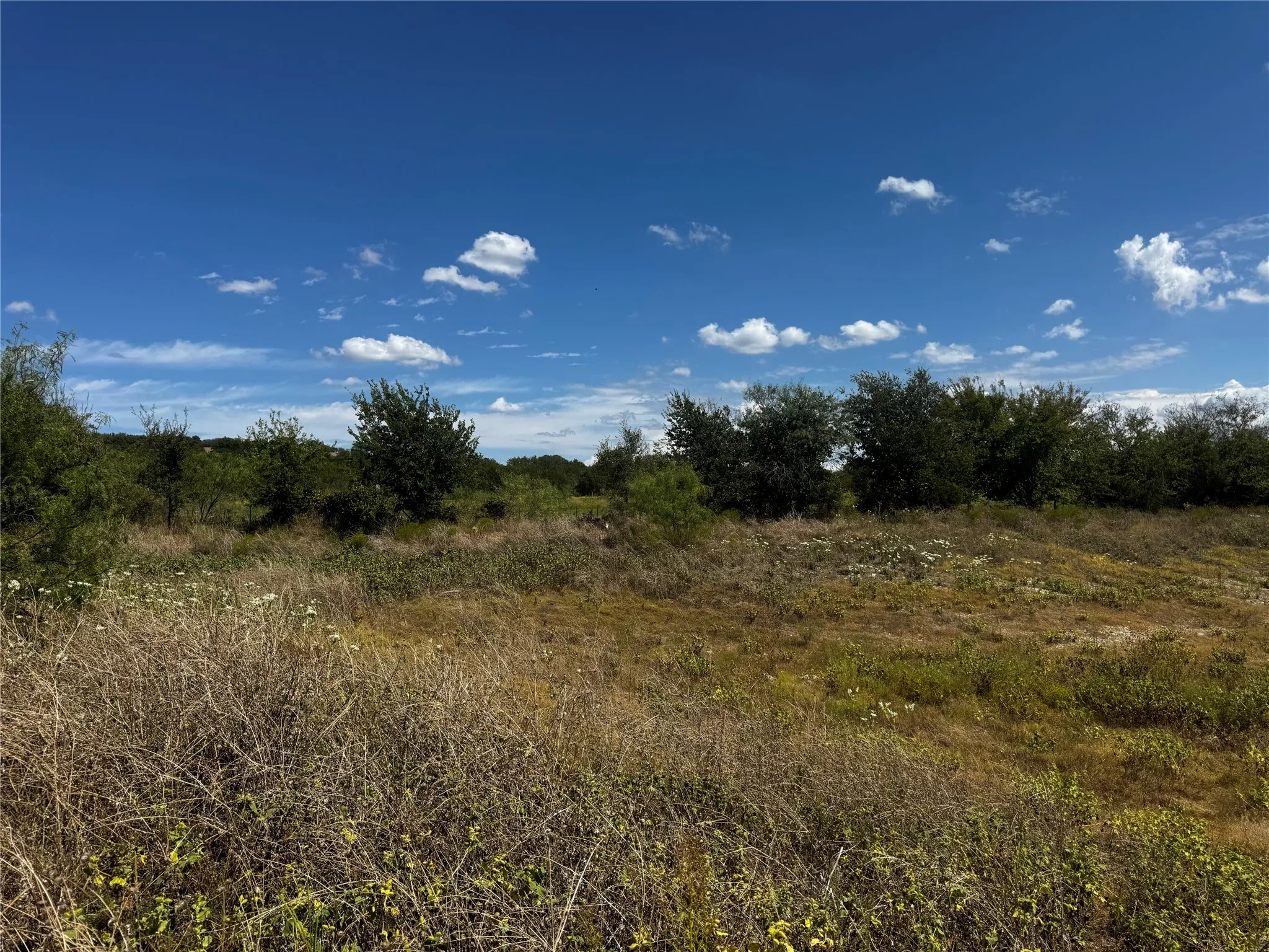 Unimproved Land For Sale in Bosque County , 108 Highway 174, Meridian, Texas 76665, 0, 0, Garage spaces, 0 Sqft, built in 0, mls#21391975, Real Estate Agent in Meridian, Homes For Sale in Bosque county, Homes For Sale in Meridian, Realtor in Meridian Texas, Real Estate Brokerage Independent Realty Texas, Luminita Cordes Realtor