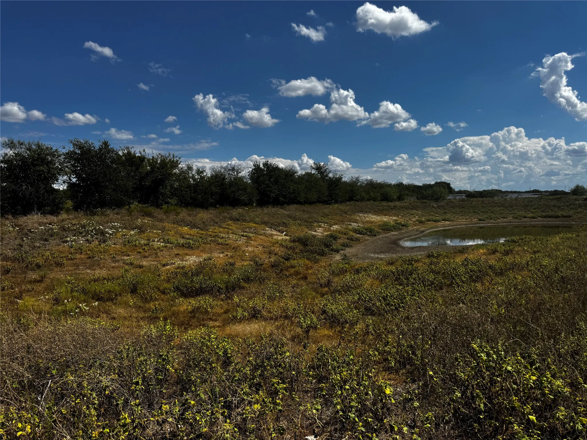 Unimproved Land For Sale in Bosque County , 108 Highway 174, Meridian, Texas 76665, 0, 0, Garage spaces, 0 Sqft, built in 0, mls#21391975, Real Estate Agent in Meridian, Homes For Sale in Bosque county, Homes For Sale in Meridian, Realtor in Meridian Texas, Real Estate Brokerage Independent Realty Texas, Luminita Cordes Realtor