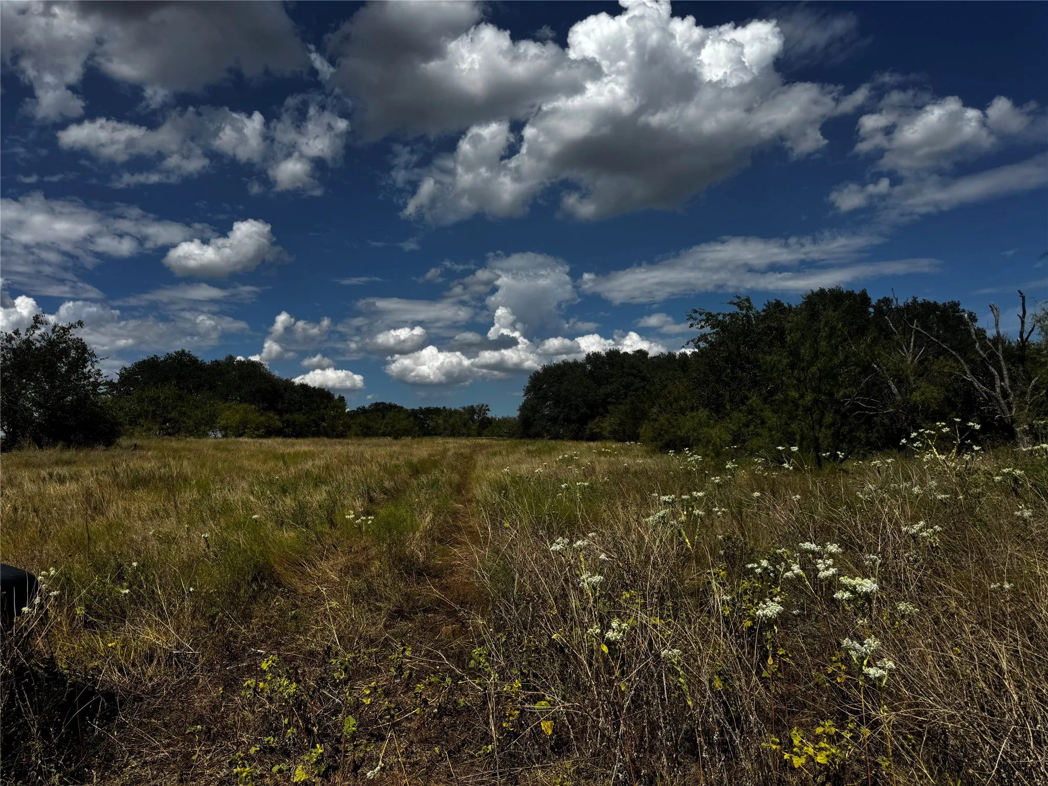 Unimproved Land For Sale in Bosque County , 108 Highway 174, Meridian, Texas 76665, 0, 0, Garage spaces, 0 Sqft, built in 0, mls#21391975, Real Estate Agent in Meridian, Homes For Sale in Bosque county, Homes For Sale in Meridian, Realtor in Meridian Texas, Real Estate Brokerage Independent Realty Texas, Luminita Cordes Realtor