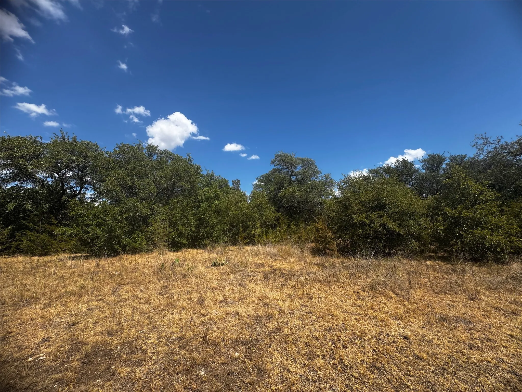 Unimproved Land For Sale in Bosque County , 108 Highway 174, Meridian, Texas 76665, 0, 0, Garage spaces, 0 Sqft, built in 0, mls#21391975, Real Estate Agent in Meridian, Homes For Sale in Bosque county, Homes For Sale in Meridian, Realtor in Meridian Texas, Real Estate Brokerage Independent Realty Texas, Luminita Cordes Realtor