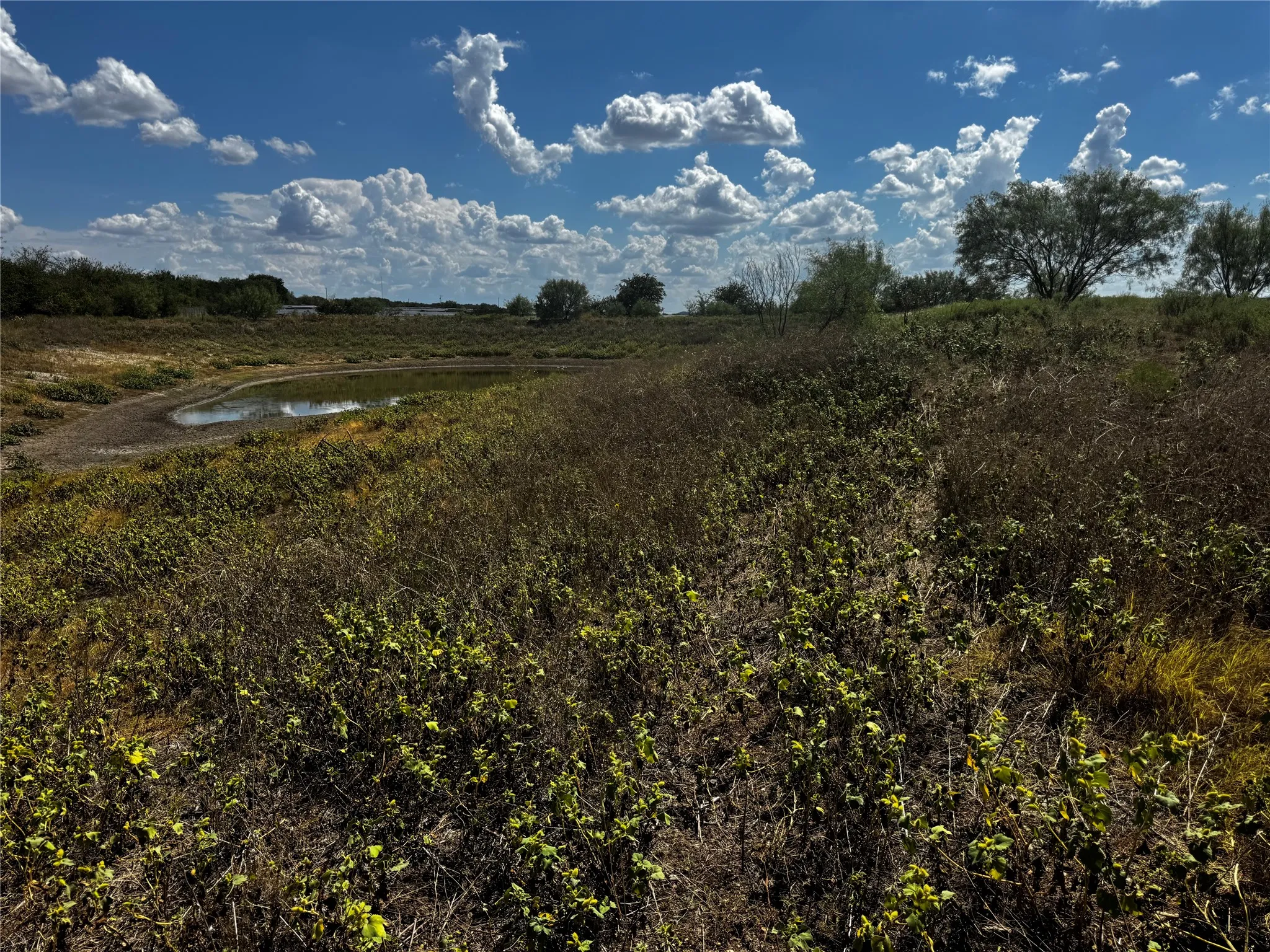 Unimproved Land For Sale in Bosque County , 108 Highway 174, Meridian, Texas 76665, 0, 0, Garage spaces, 0 Sqft, built in 0, mls#21391975, Real Estate Agent in Meridian, Homes For Sale in Bosque county, Homes For Sale in Meridian, Realtor in Meridian Texas, Real Estate Brokerage Independent Realty Texas, Luminita Cordes Realtor