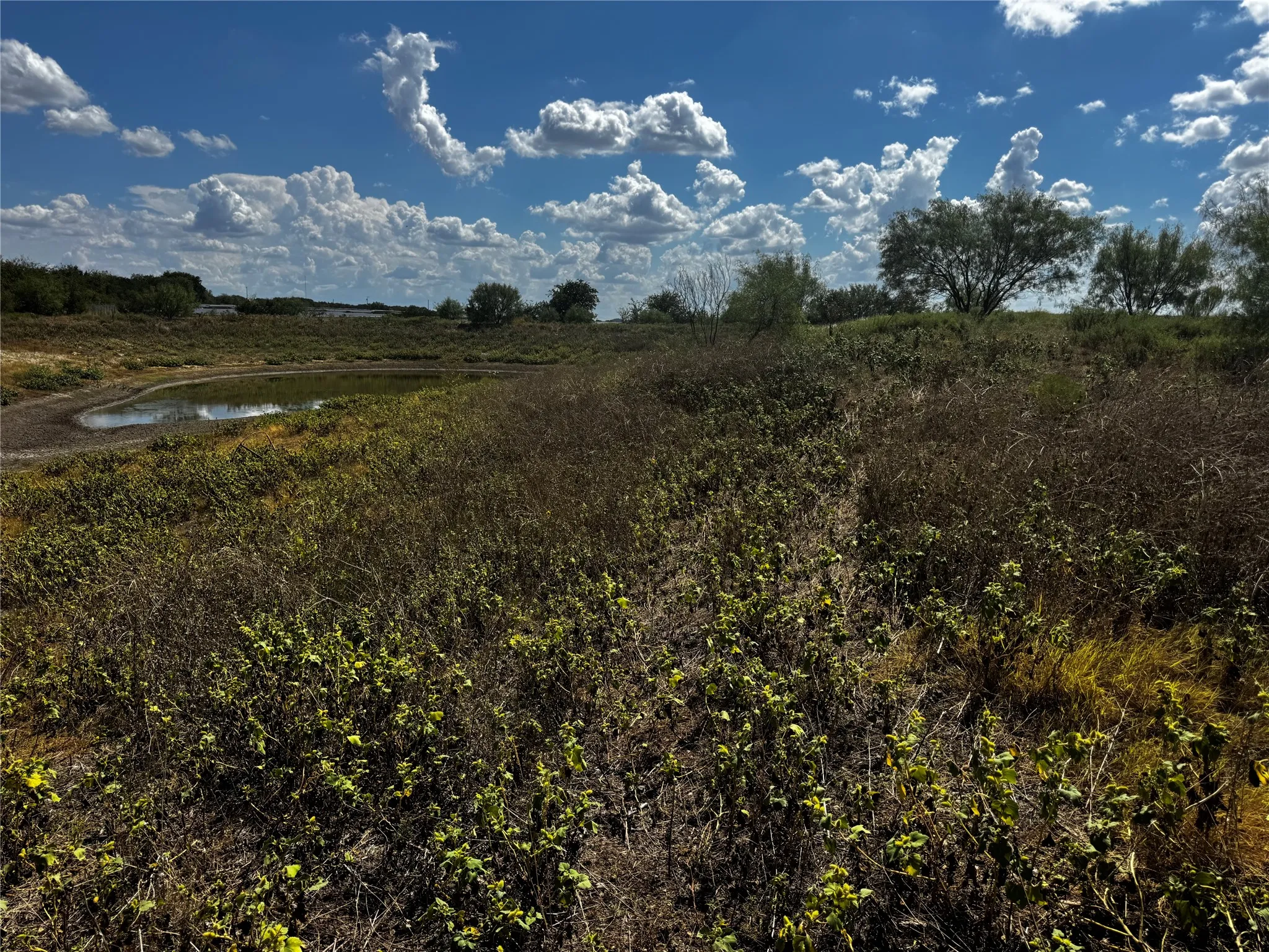 Unimproved Land For Sale in Bosque County , 108 Highway 174, Meridian, Texas 76665, 0, 0, Garage spaces, 0 Sqft, built in 0, mls#21391975, Real Estate Agent in Meridian, Homes For Sale in Bosque county, Homes For Sale in Meridian, Realtor in Meridian Texas, Real Estate Brokerage Independent Realty Texas, Luminita Cordes Realtor