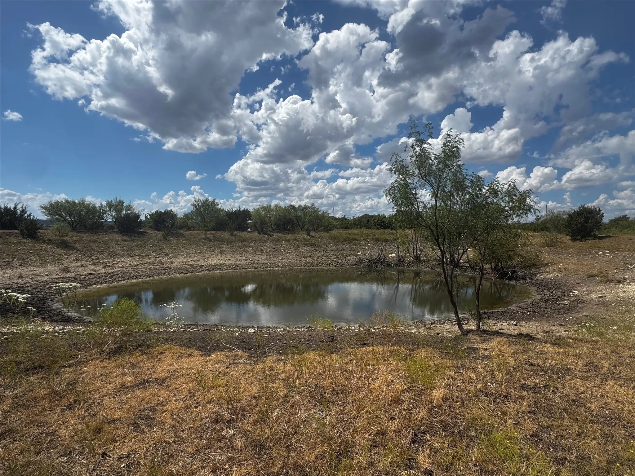 Unimproved Land For Sale in Bosque County , 108 Highway 174, Meridian, Texas 76665, 0, 0, Garage spaces, 0 Sqft, built in 0, mls#21391975, Real Estate Agent in Meridian, Homes For Sale in Bosque county, Homes For Sale in Meridian, Realtor in Meridian Texas, Real Estate Brokerage Independent Realty Texas, Luminita Cordes Realtor