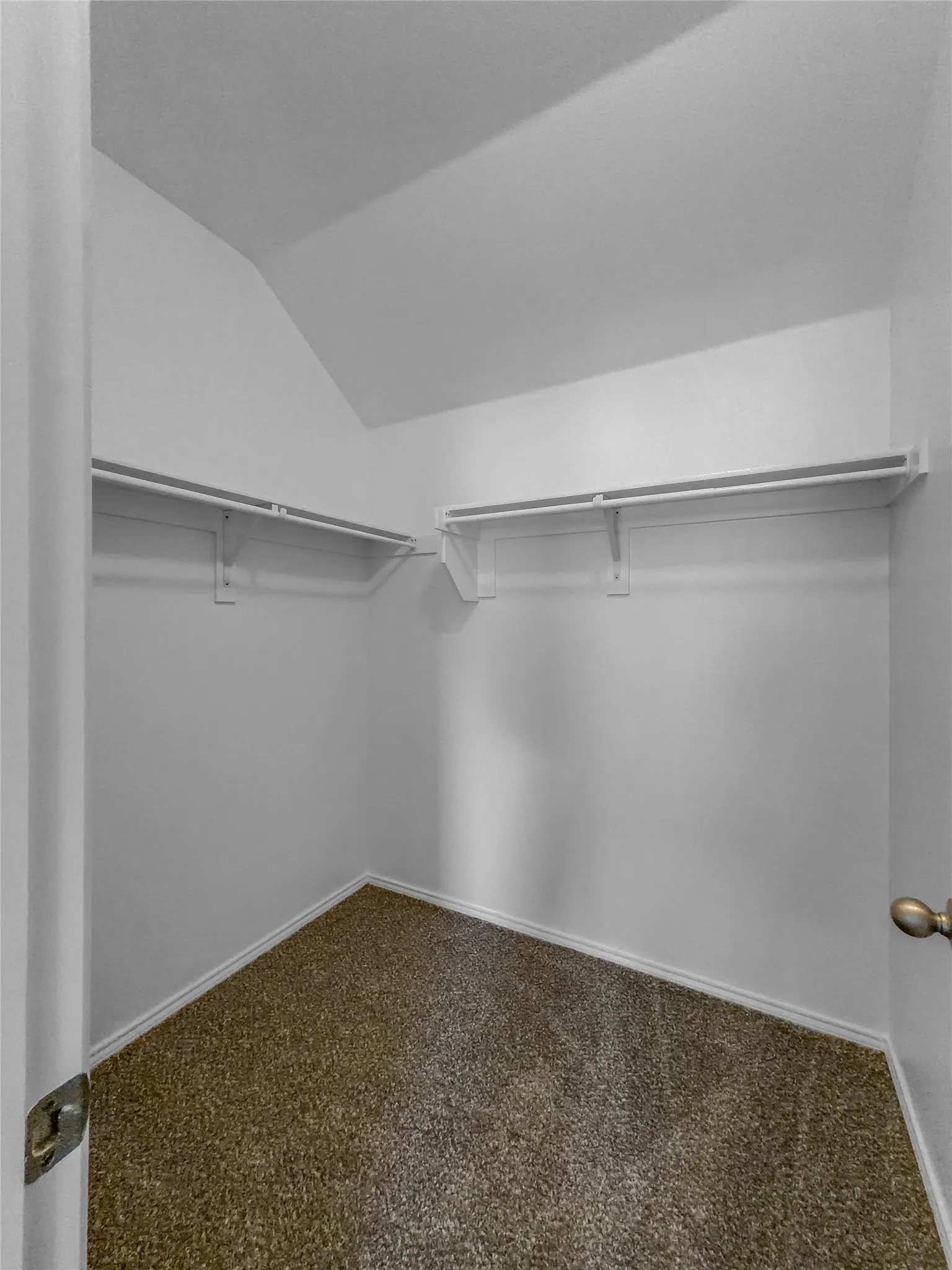 Carpeted interior closet with white walls and built-in shelving