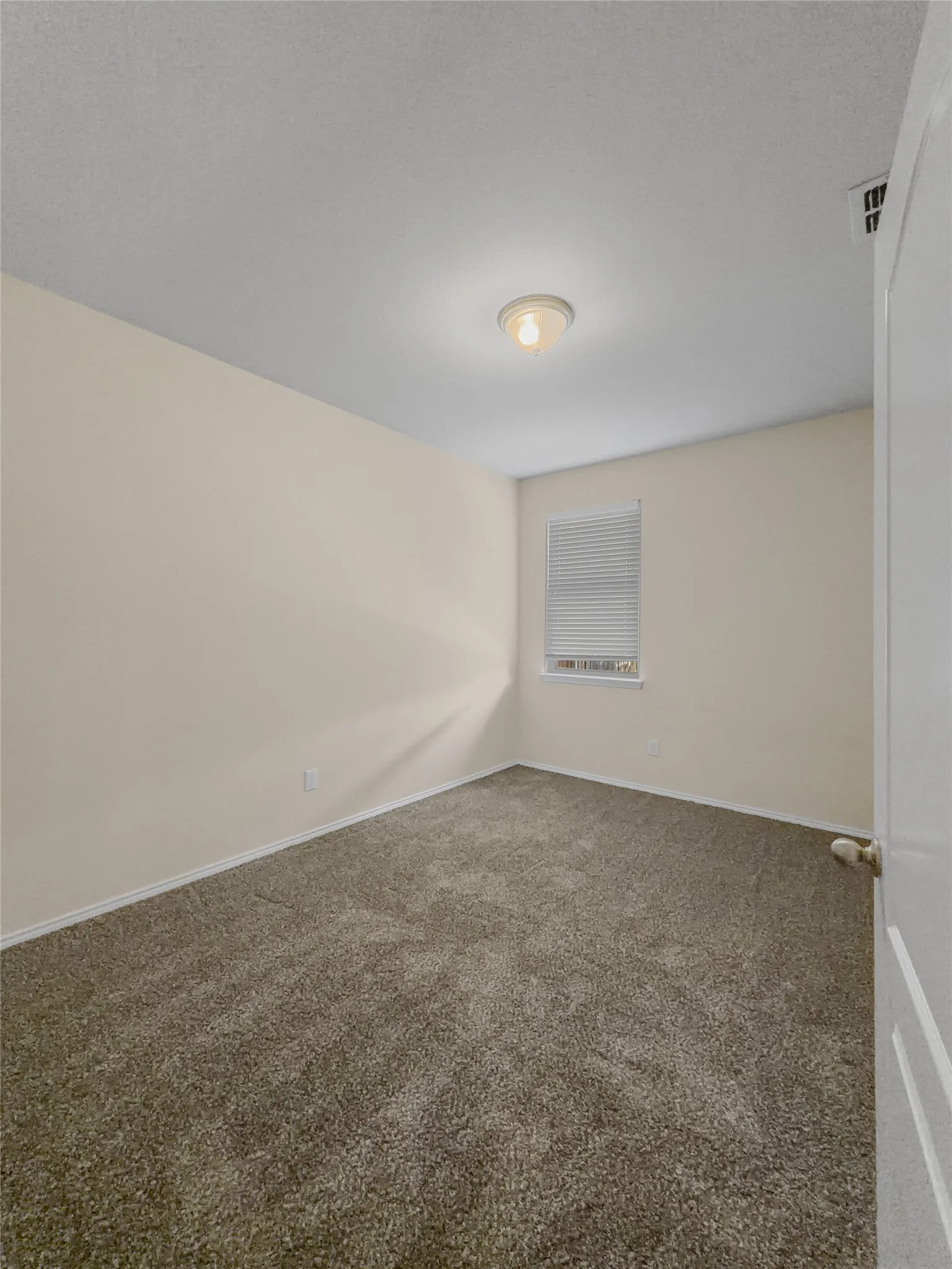 Neutral wall paint, textured carpet, window with blinds, overhead lighting fixture