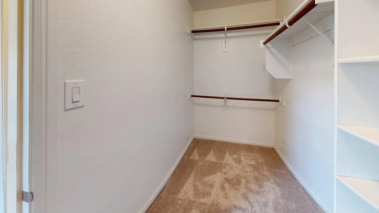 Walk-in closet with carpet flooring, multiple shelving units, and dual hanging rods