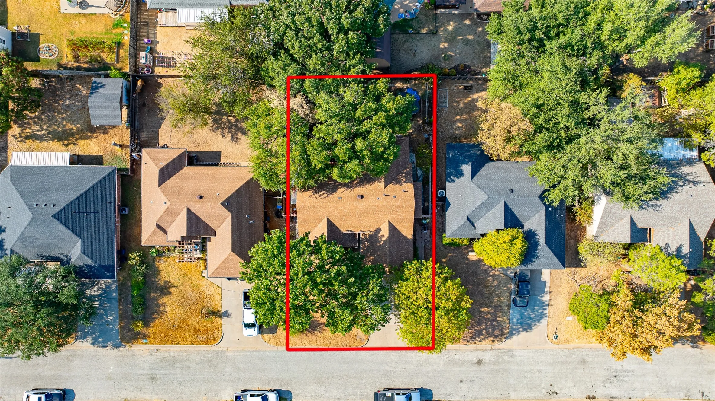 Approximate lot lines, mature trees
