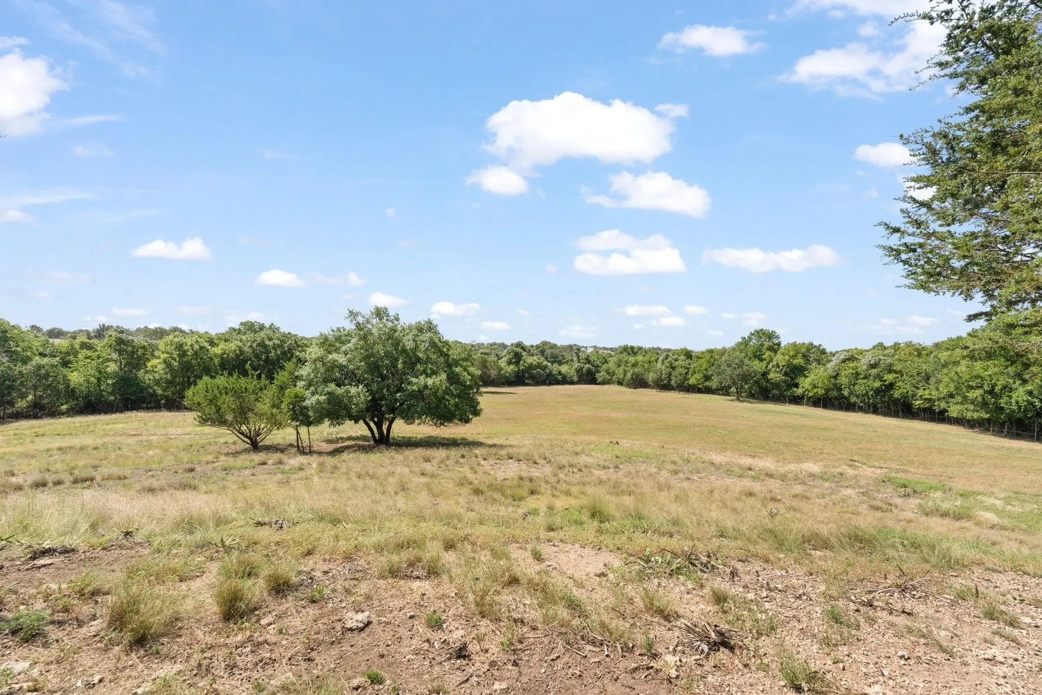 VIEW FROM THE BACKYARD!!! Imagine watching the horses/animals back here!!

