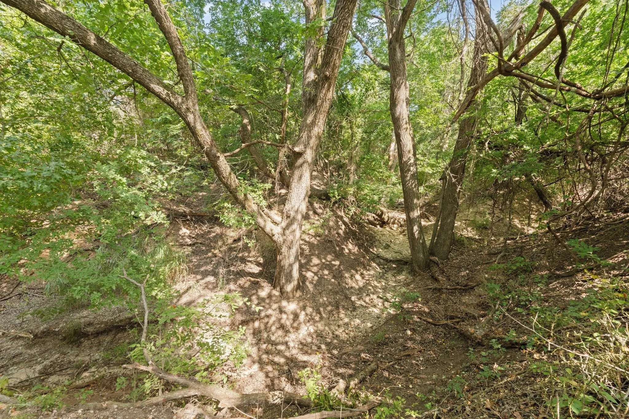 SEASONAL CREEK!!! This special spot on the property has it's own picnic bench in the shade to relax, read a book, enjoy your morning coffee, and listen to the sounds of the running water when it's the right time of year!