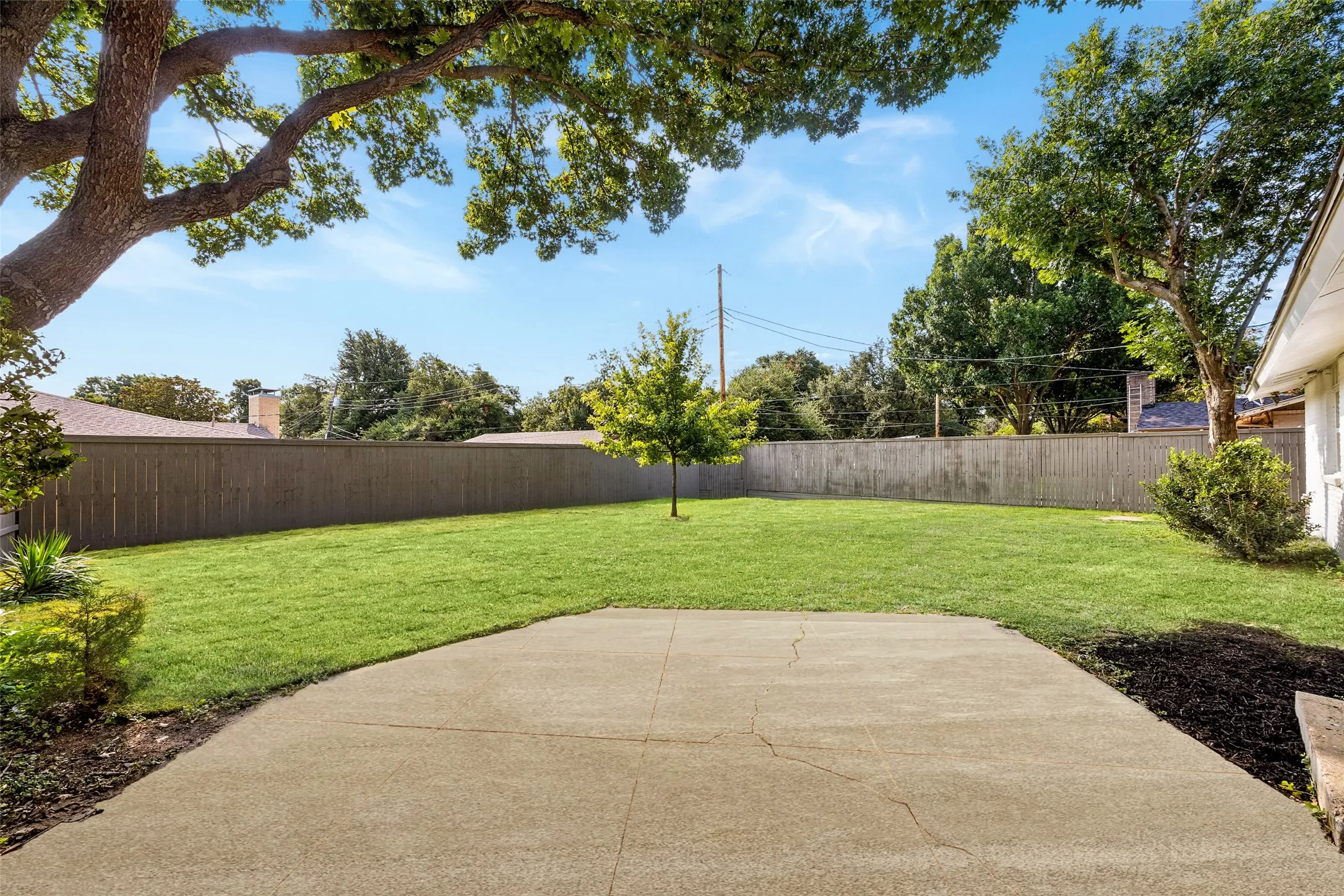 Spacious backyard with mature shade tree framing a large open lawn, wood privacy fence, and a concrete patio ready for outdoor entertaining.