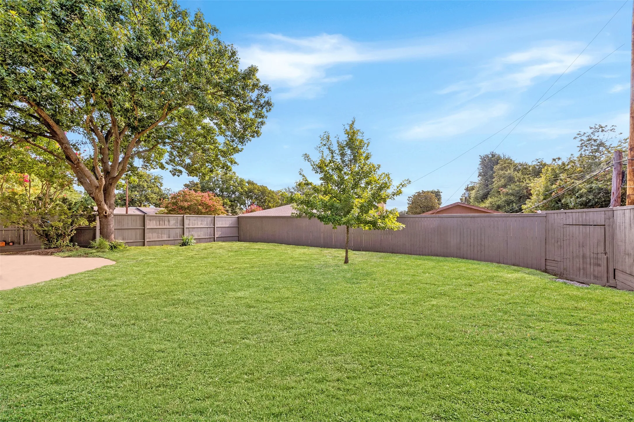 Expansive fenced backyard with mature trees, lush green lawn, and an ornamental tree, offering plenty of room to relax or play.