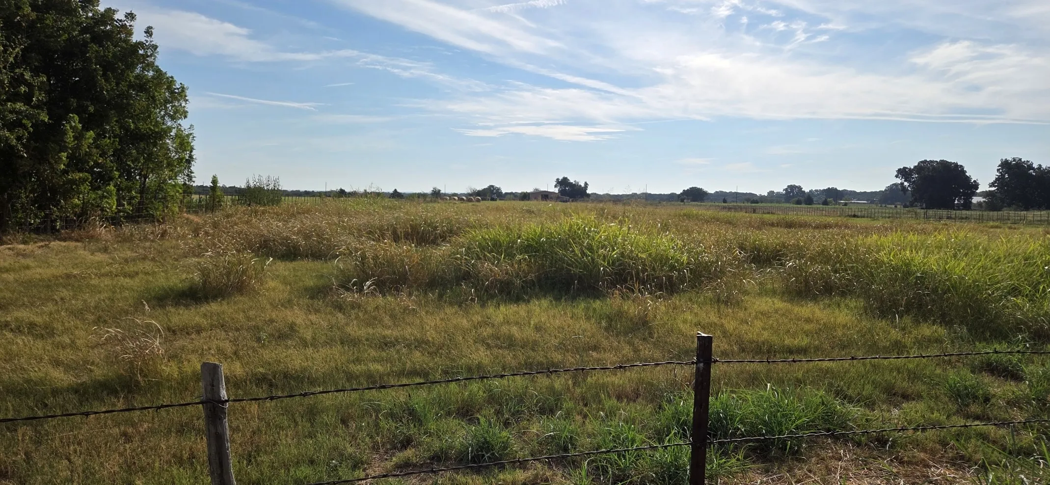Unimproved Land For Sale in Grayson County , 0000 FM 901, Sadler, Texas 76264, 0, 0, Garage spaces, 0 Sqft, built in 0, mls#21394956, Real Estate Agent in Sadler, Homes For Sale in Grayson county, Homes For Sale in Sadler, Realtor in Sadler Texas, Real Estate Brokerage Independent Realty Texas, Luminita Cordes Realtor