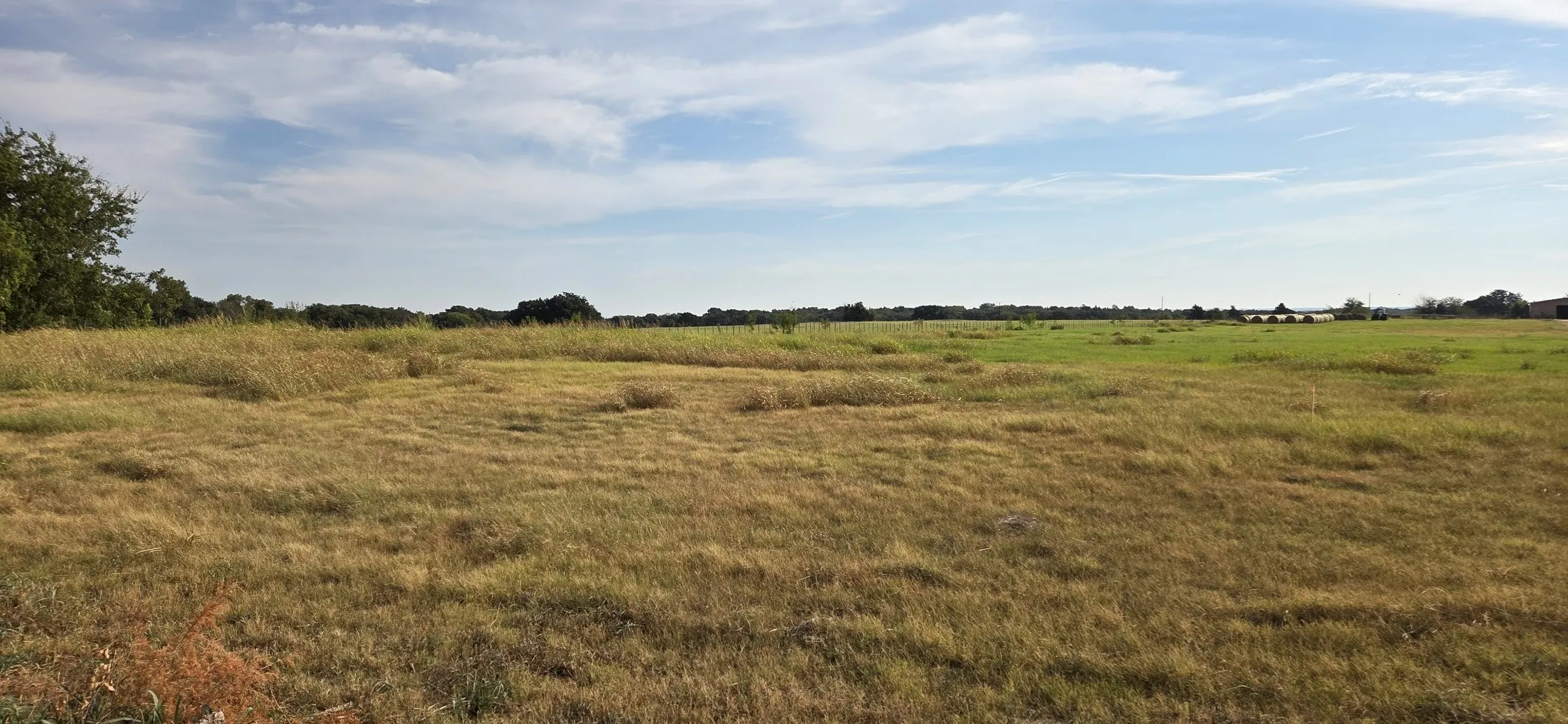 Unimproved Land For Sale in Grayson County , 0000 FM 901, Sadler, Texas 76264, 0, 0, Garage spaces, 0 Sqft, built in 0, mls#21394956, Real Estate Agent in Sadler, Homes For Sale in Grayson county, Homes For Sale in Sadler, Realtor in Sadler Texas, Real Estate Brokerage Independent Realty Texas, Luminita Cordes Realtor