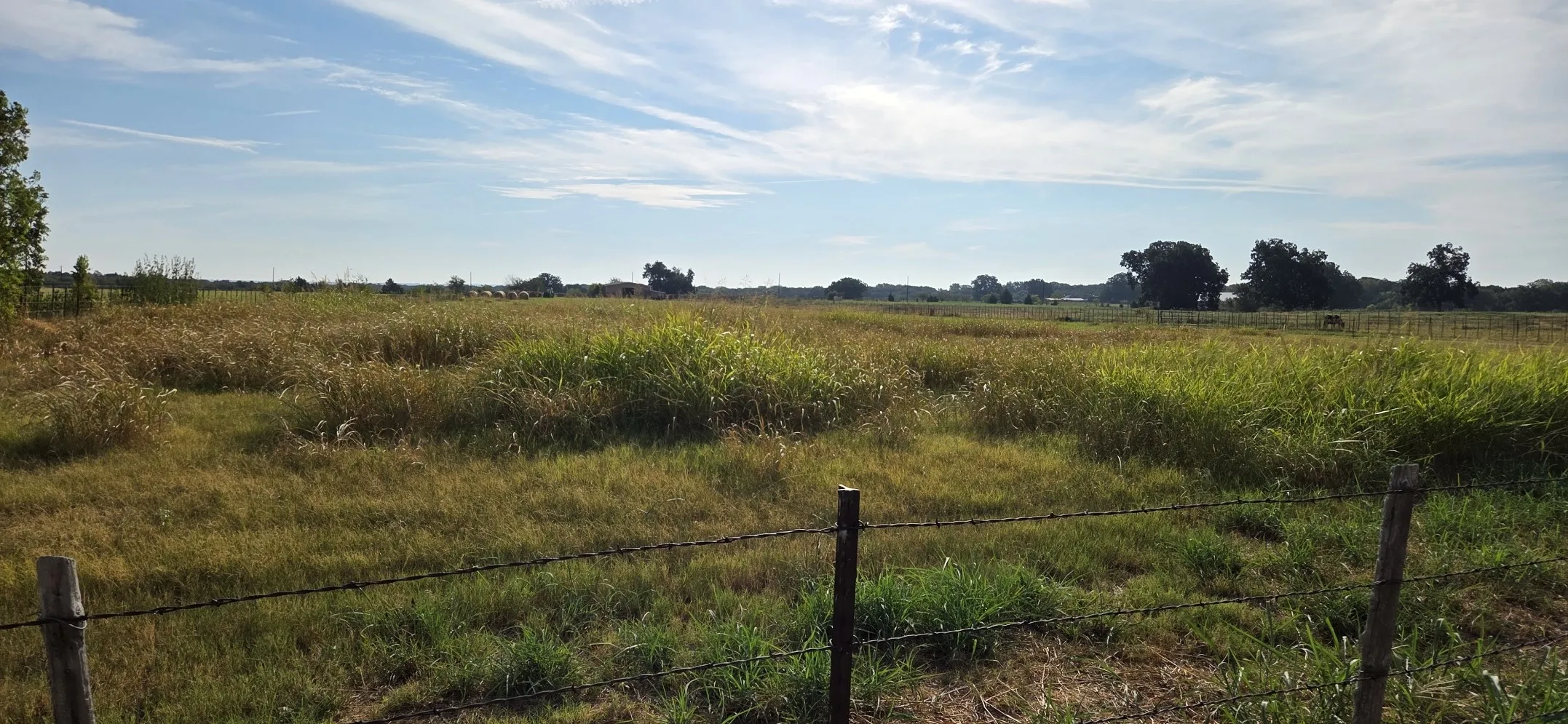 Unimproved Land For Sale in Grayson County , 0000 FM 901, Sadler, Texas 76264, 0, 0, Garage spaces, 0 Sqft, built in 0, mls#21394956, Real Estate Agent in Sadler, Homes For Sale in Grayson county, Homes For Sale in Sadler, Realtor in Sadler Texas, Real Estate Brokerage Independent Realty Texas, Luminita Cordes Realtor