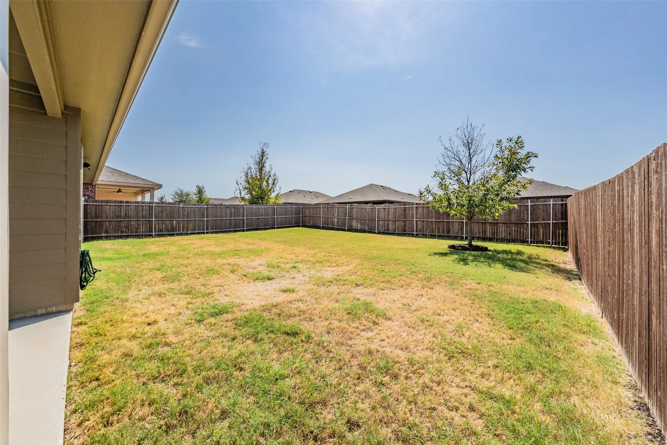 Expansive backyard featuring a natural wood fence and a small tree