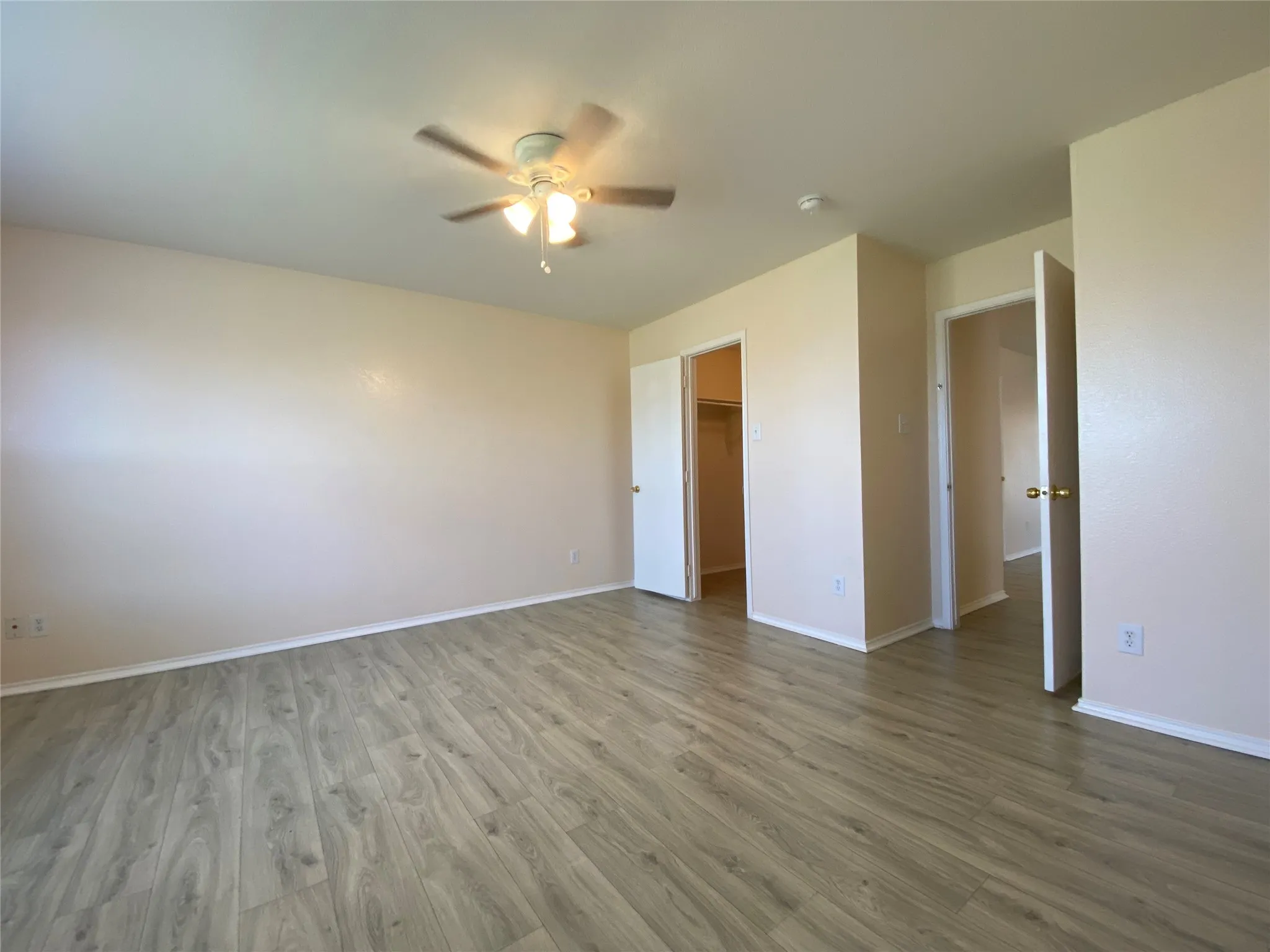 Unfurnished bedroom with a spacious closet, baseboards, ceiling fan, a closet, and wood finished floors