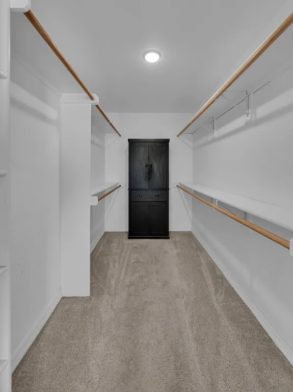 Built-in shelving and hanging rods, recessed ceiling light, and neutral-tone carpeting