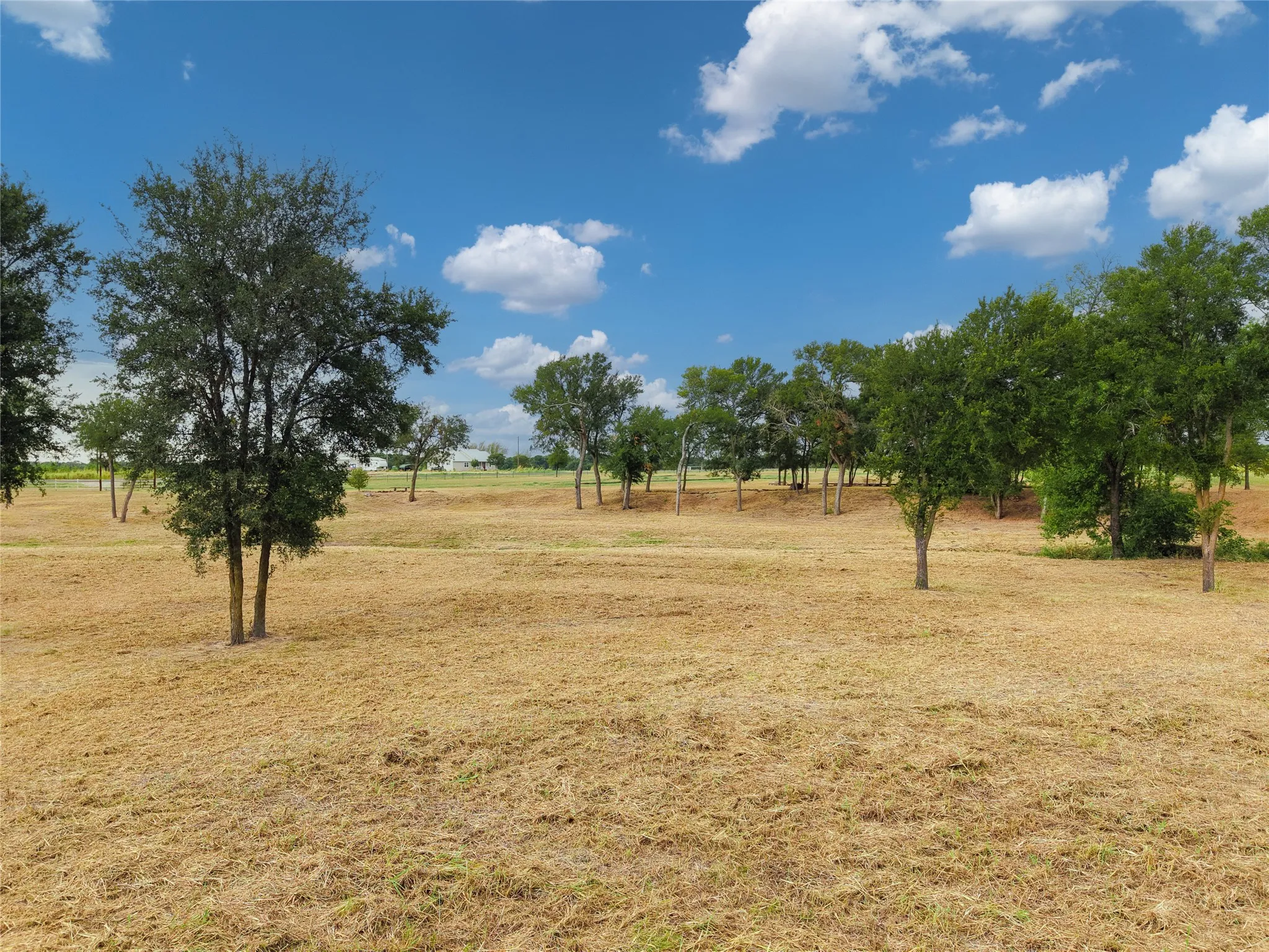 Improved Land For Sale in Limestone County , 7546 Highway 164 W, Mart, Texas 76664, 0, 0, Garage spaces, 0 Sqft, built in 0, mls#21389969, Real Estate Agent in Mart, Homes For Sale in Limestone county, Homes For Sale in Mart, Realtor in Mart Texas, Real Estate Brokerage Independent Realty Texas, Luminita Cordes Realtor