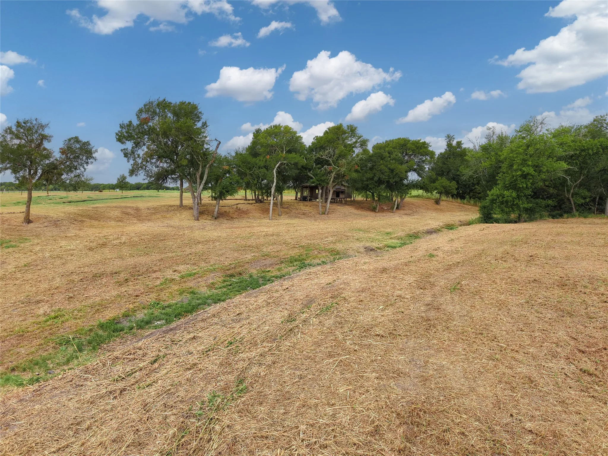Improved Land For Sale in Limestone County , 7546 Highway 164 W, Mart, Texas 76664, 0, 0, Garage spaces, 0 Sqft, built in 0, mls#21389969, Real Estate Agent in Mart, Homes For Sale in Limestone county, Homes For Sale in Mart, Realtor in Mart Texas, Real Estate Brokerage Independent Realty Texas, Luminita Cordes Realtor