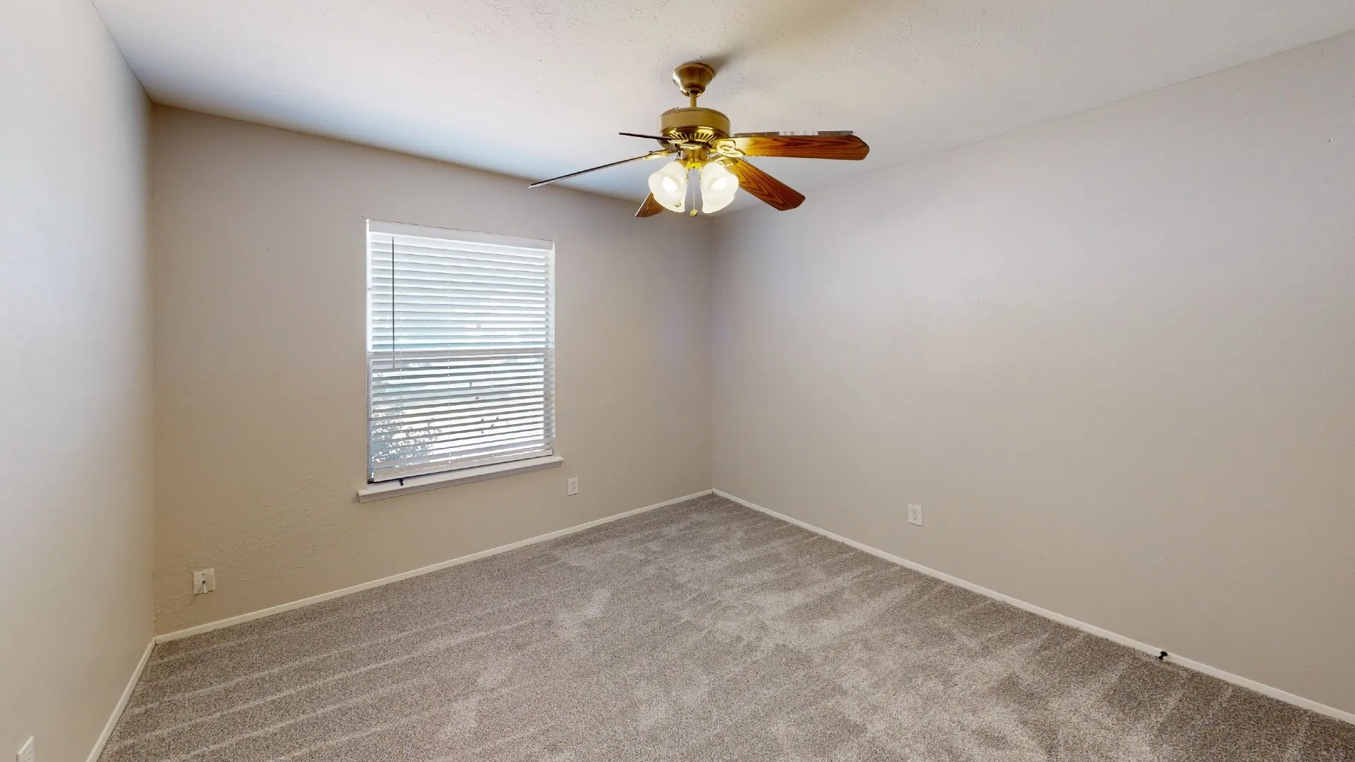 Plush carpeting, neutral wall color, and a ceiling fan with integrated lighting