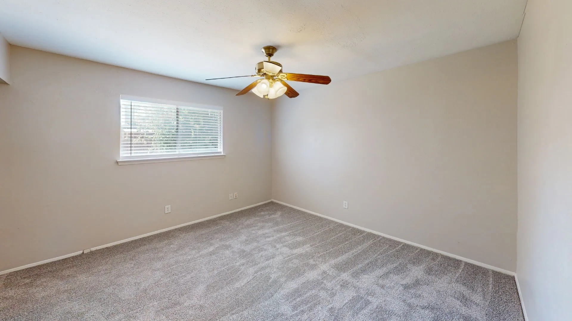 Textured carpeting, neutral wall finishes, window with blinds, and a ceiling fan with light fixture
