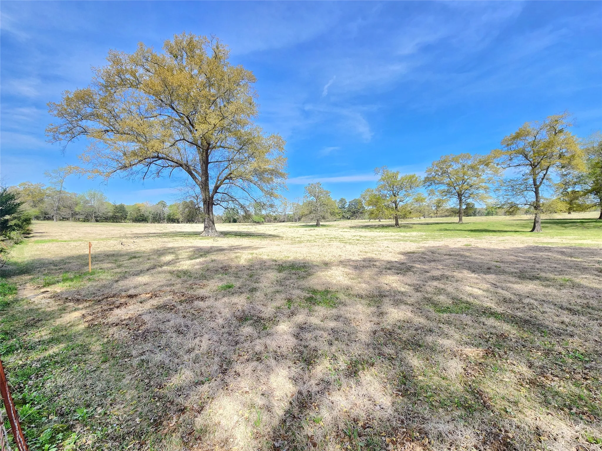 Unimproved Land For Sale in Upshur County , LOT 10 FM 49, Gilmer, Texas 75644, 0, 0, Garage spaces, 0 Sqft, built in 0, mls#21395004, Real Estate Agent in Gilmer, Homes For Sale in Upshur county, Homes For Sale in Gilmer, Realtor in Gilmer Texas, Real Estate Brokerage Independent Realty Texas, Luminita Cordes Realtor