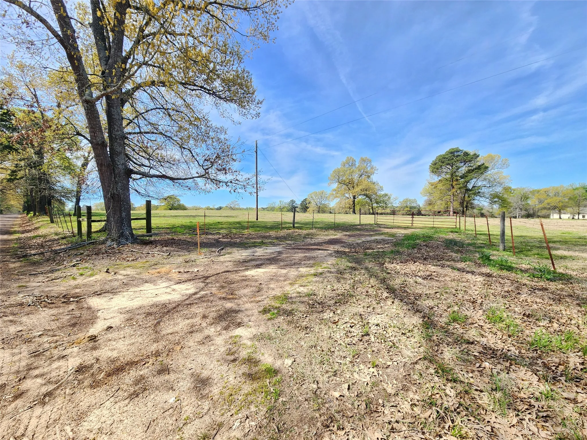 Unimproved Land For Sale in Upshur County , LOT 10 FM 49, Gilmer, Texas 75644, 0, 0, Garage spaces, 0 Sqft, built in 0, mls#21395004, Real Estate Agent in Gilmer, Homes For Sale in Upshur county, Homes For Sale in Gilmer, Realtor in Gilmer Texas, Real Estate Brokerage Independent Realty Texas, Luminita Cordes Realtor