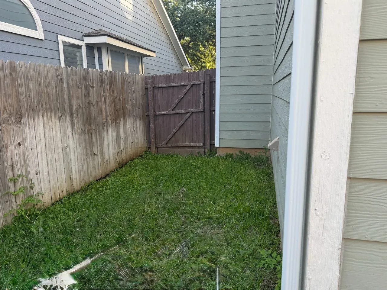 Backyard