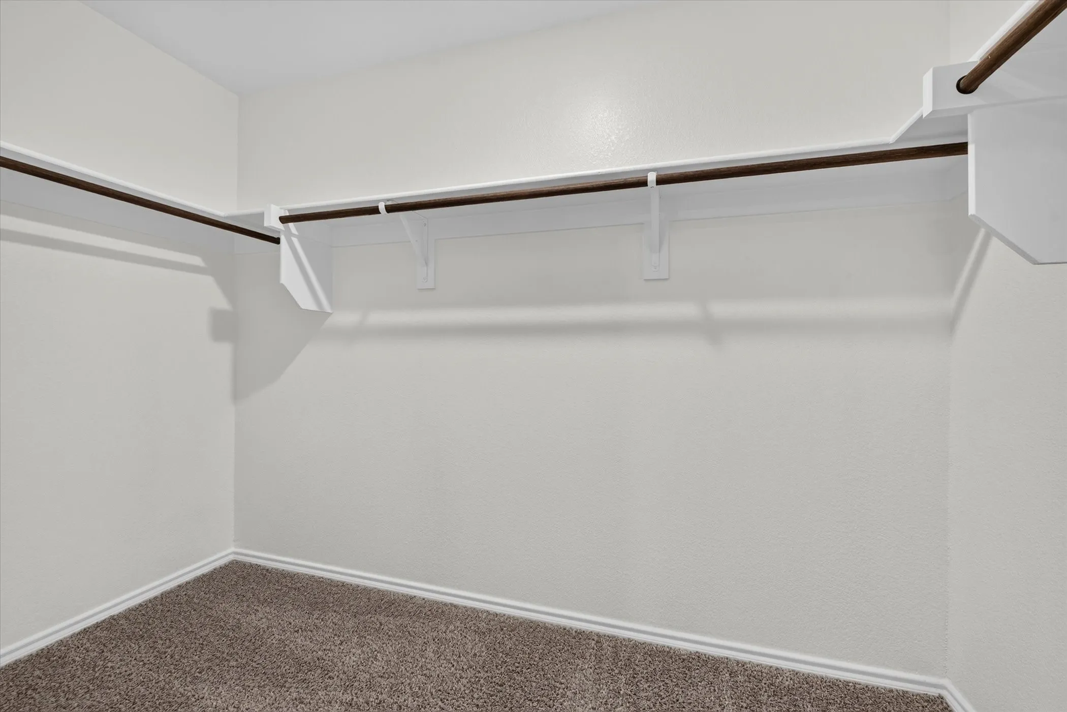 Walk-in closet with carpet flooring, white walls, and built-in shelving with hanging rods