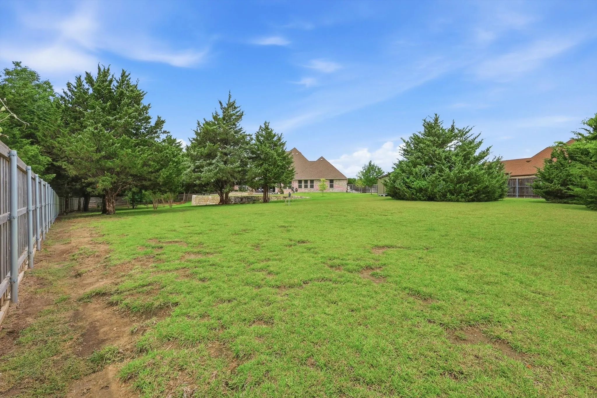 Expansive backyard with a manicured lawn, established perimeter fencing, and mature evergreen trees