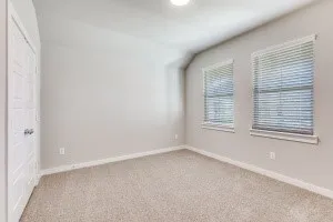 Neutral wall paint, plush carpet, two windows with blinds, ceiling light fixture, and a paneled door