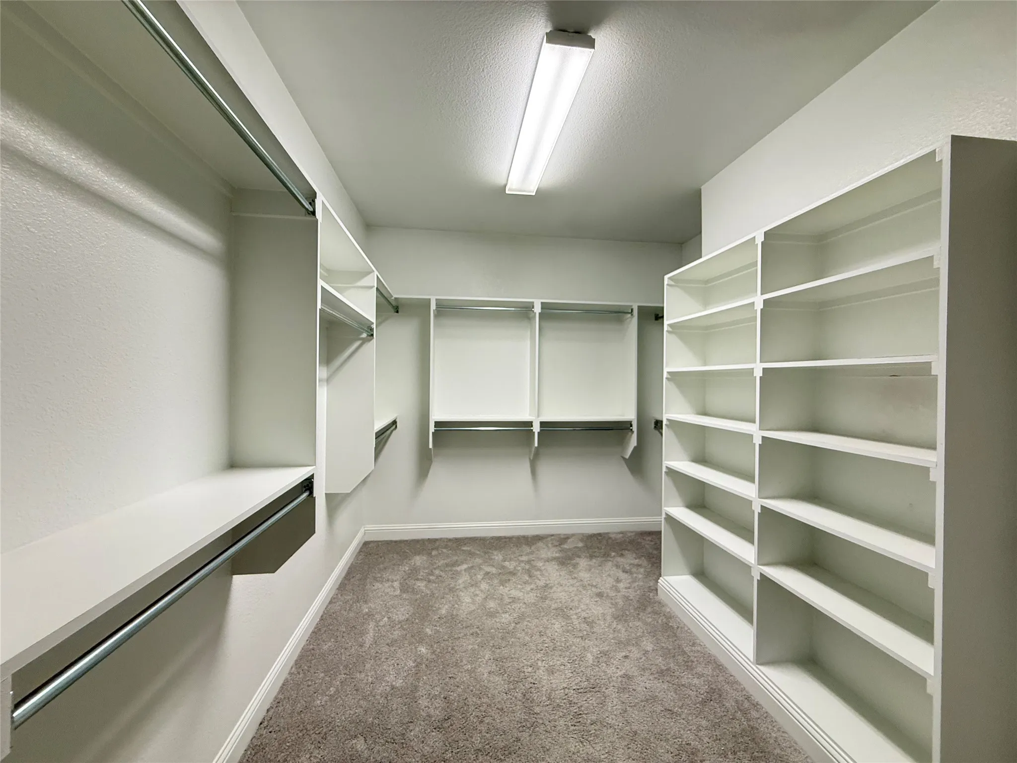 Walk-in closet featuring carpet flooring, built-in shelving, and multiple hanging rods